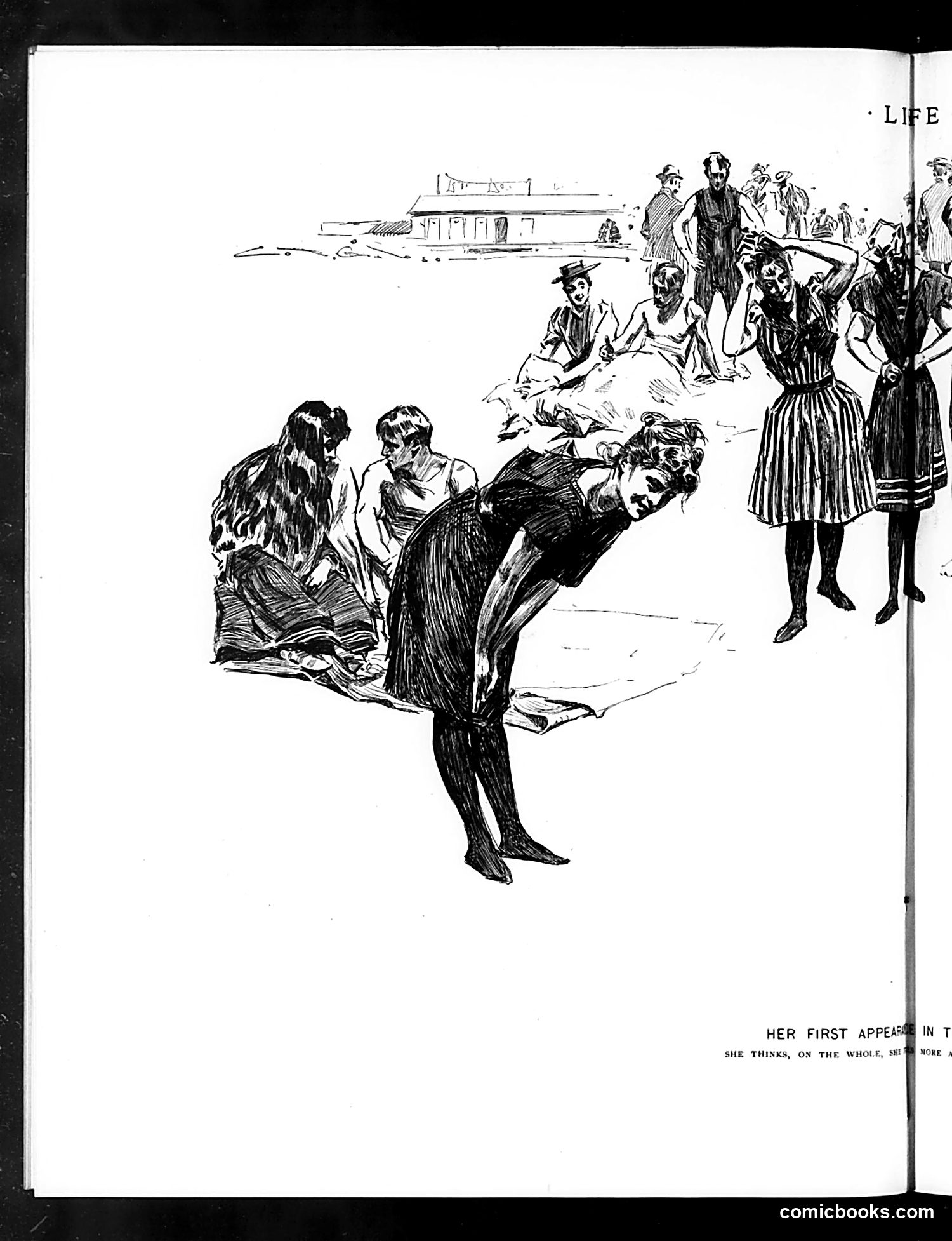 Life — August 24, 1893 — page 8 of 16