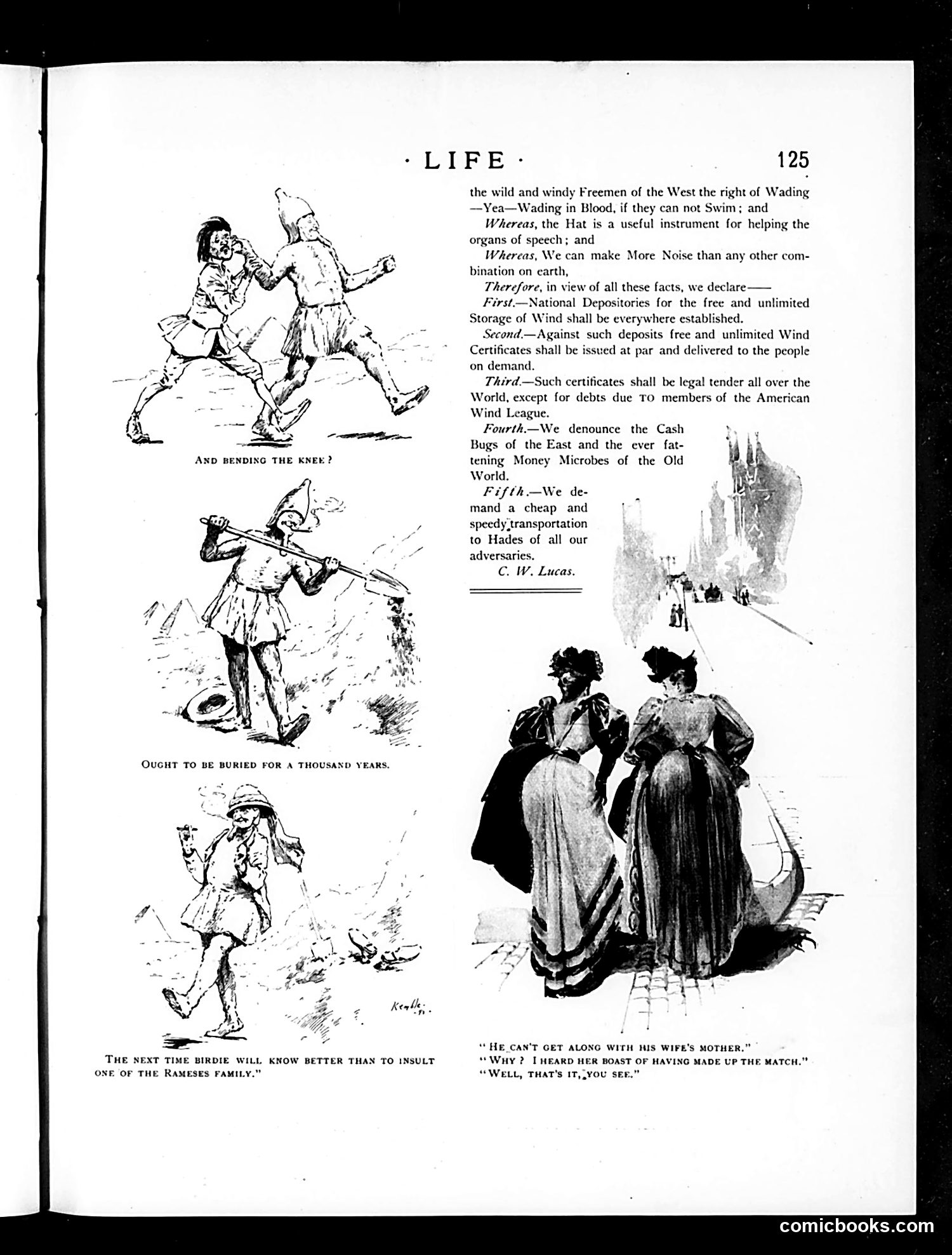 Life — August 24, 1893 — page 13 of 16
