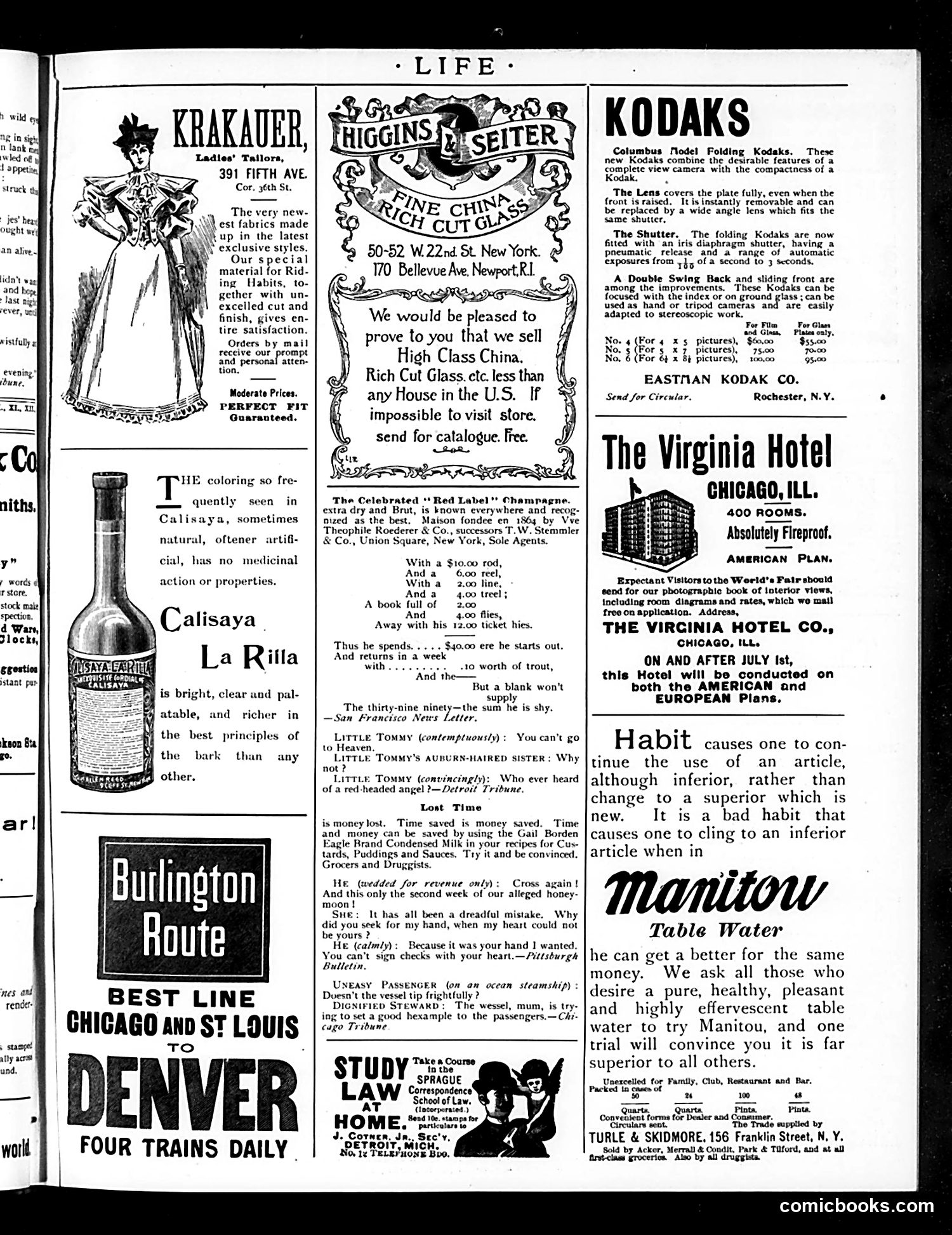 Life — August 24, 1893 — page 15 of 16