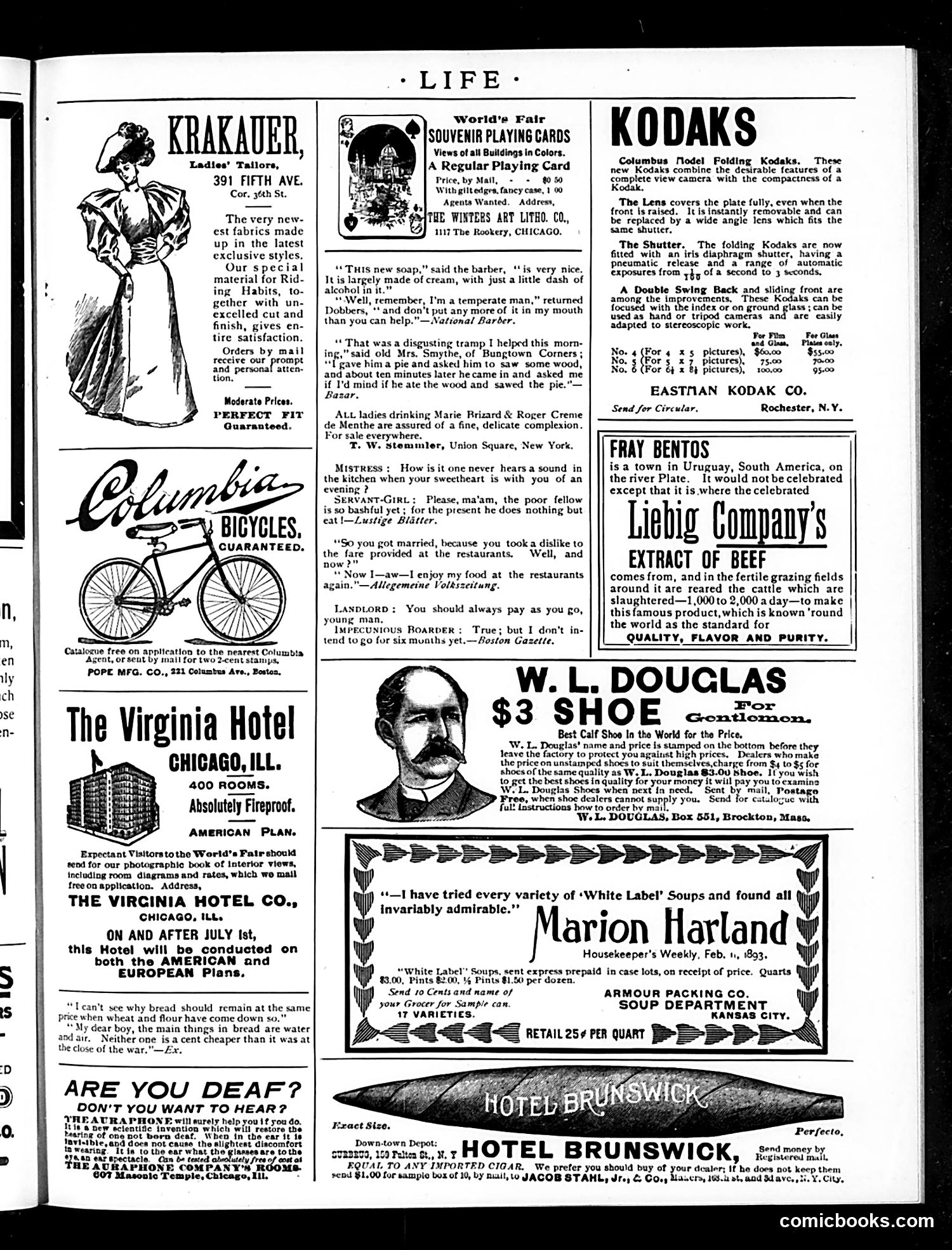 Life — August 31, 1893 — page 17 of 18