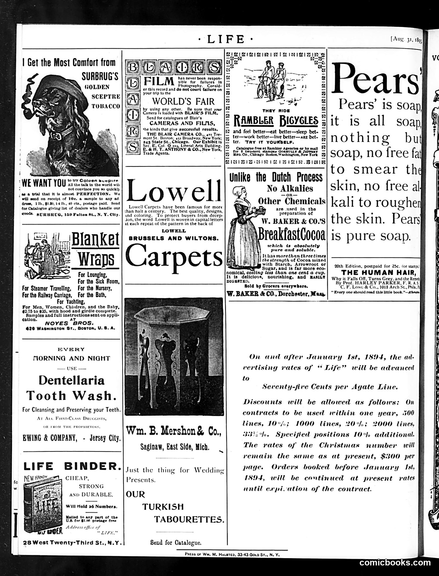 Life — August 31, 1893 — page 18 of 18