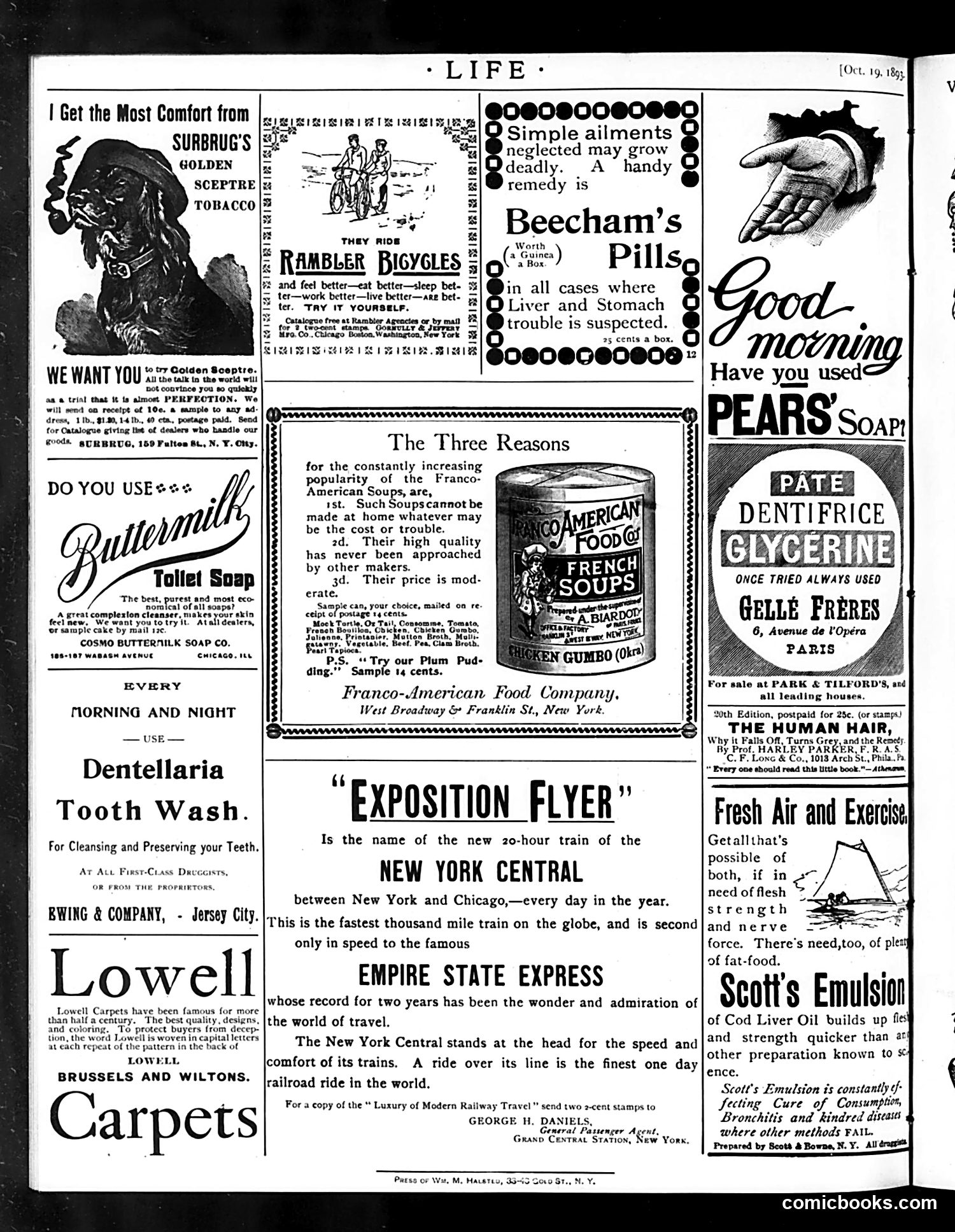 Life — October 19, 1893 — page 18 of 18