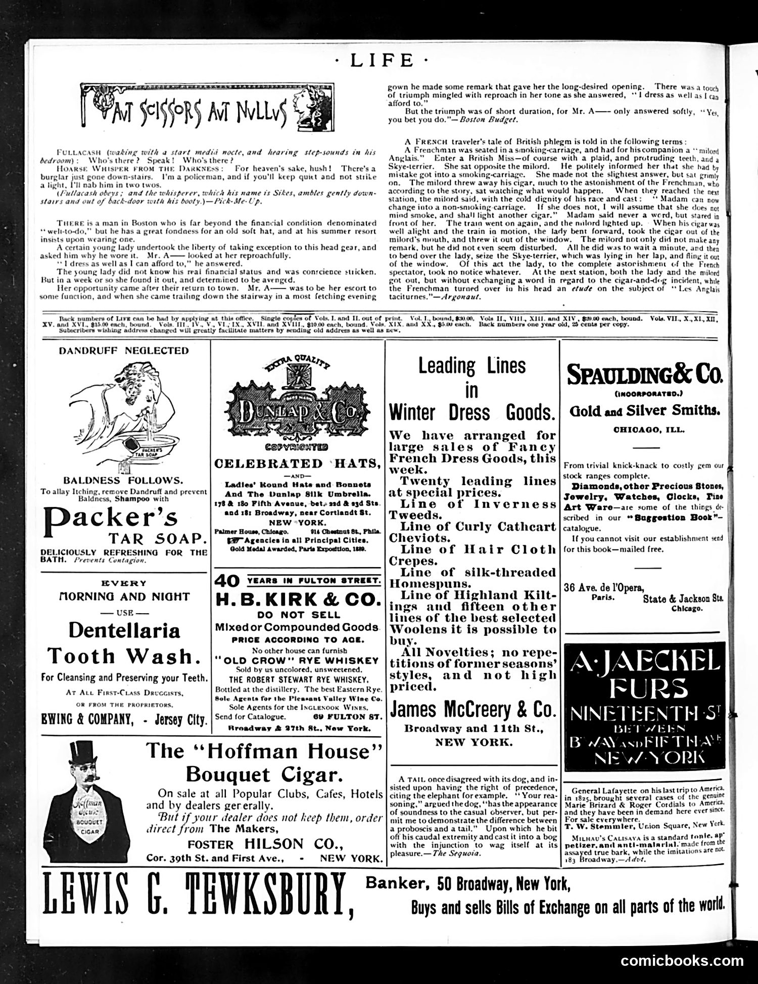 Life — November 2, 1893 — page 14 of 14