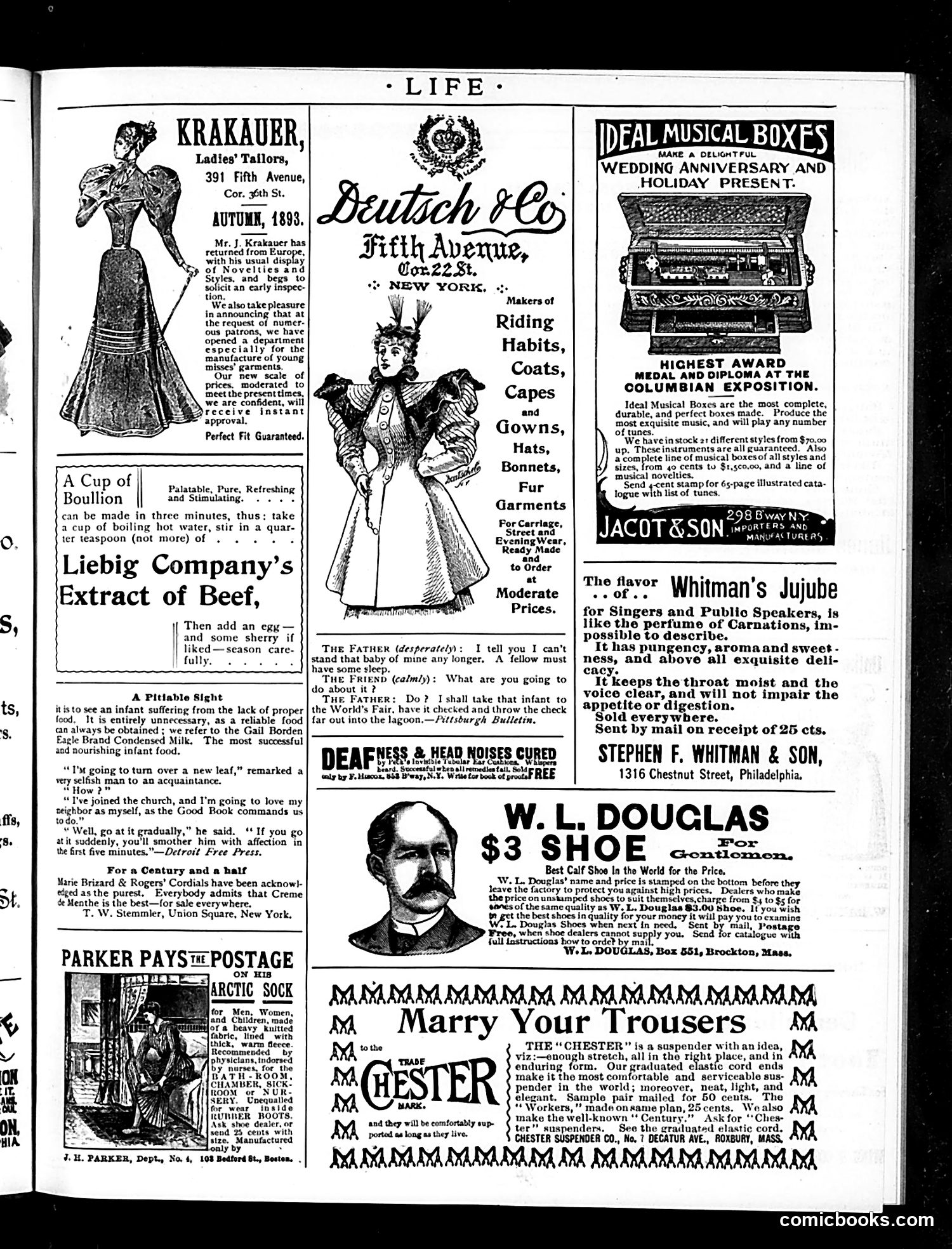 Life — November 9, 1893 — page 17 of 18