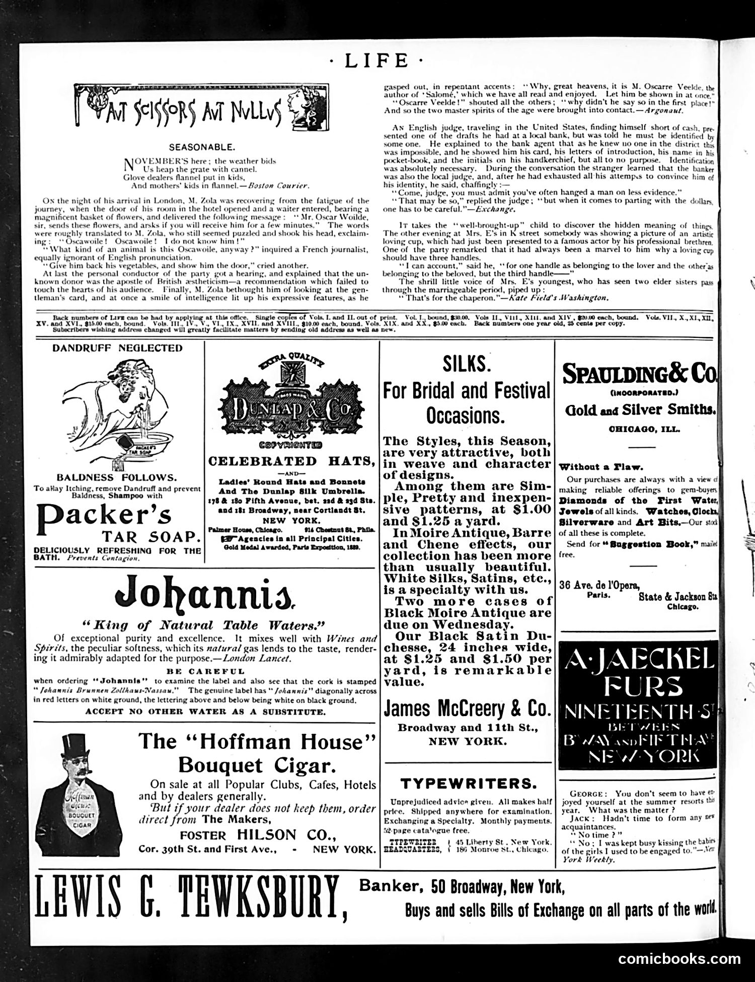 Life — November 16, 1893 — page 14 of 14