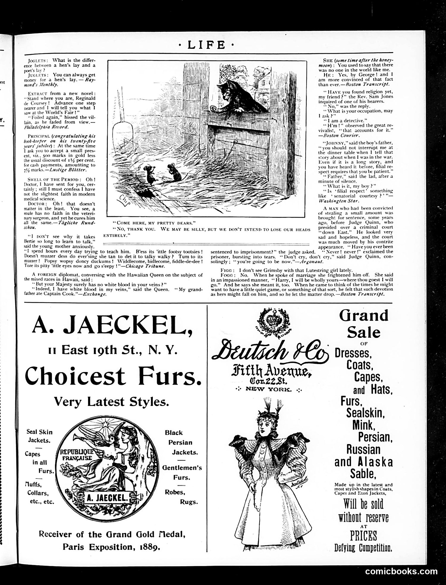 Life — November 23, 1893 — page 25 of 26