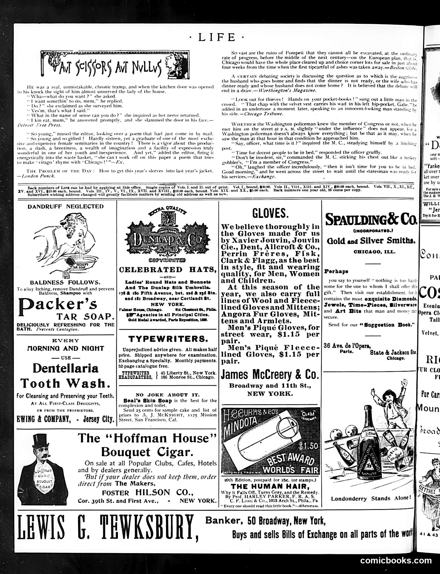 Life — December 14, 1893 — page 14 of 16