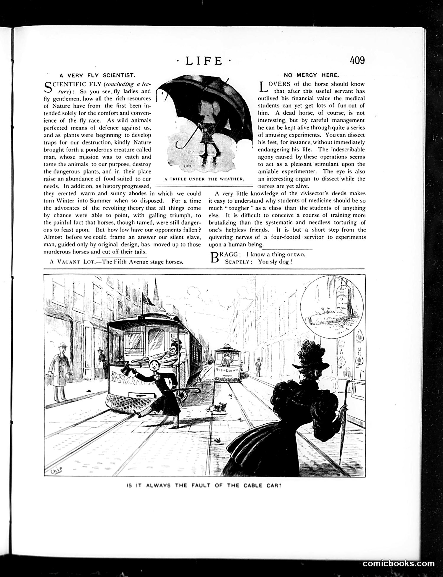 Life — December 28, 1893 — page 5 of 53