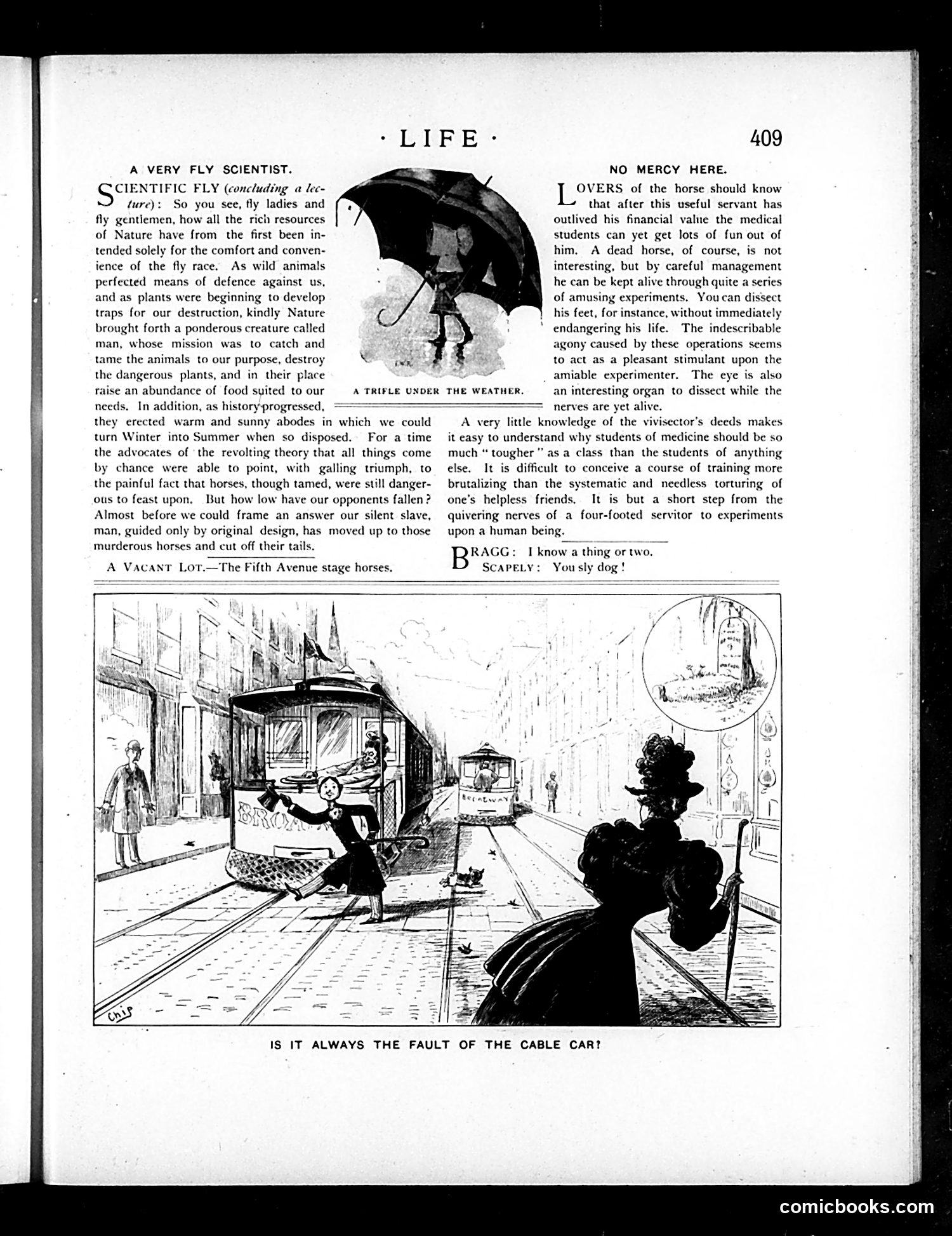 Life — December 28, 1893 — page 9 of 53
