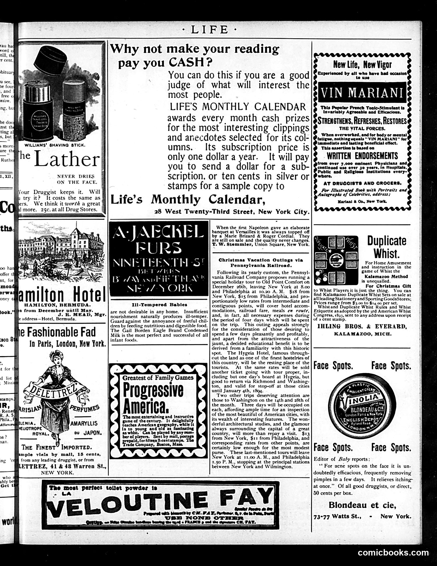 Life — December 28, 1893 — page 19 of 53