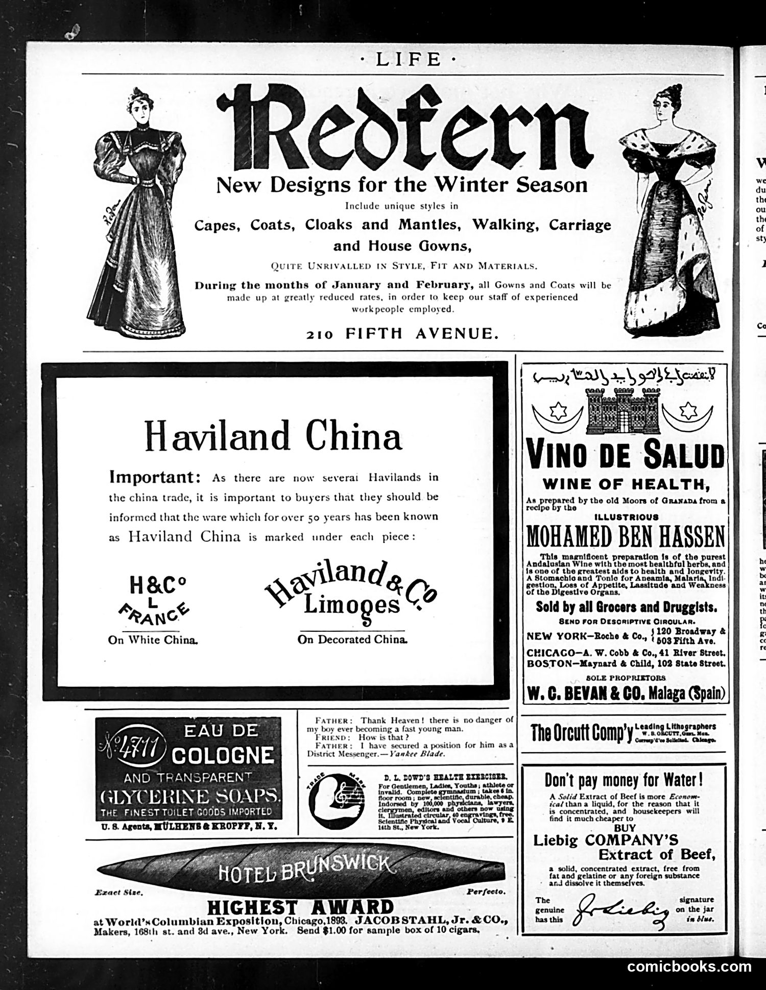 Life — December 28, 1893 — page 20 of 53