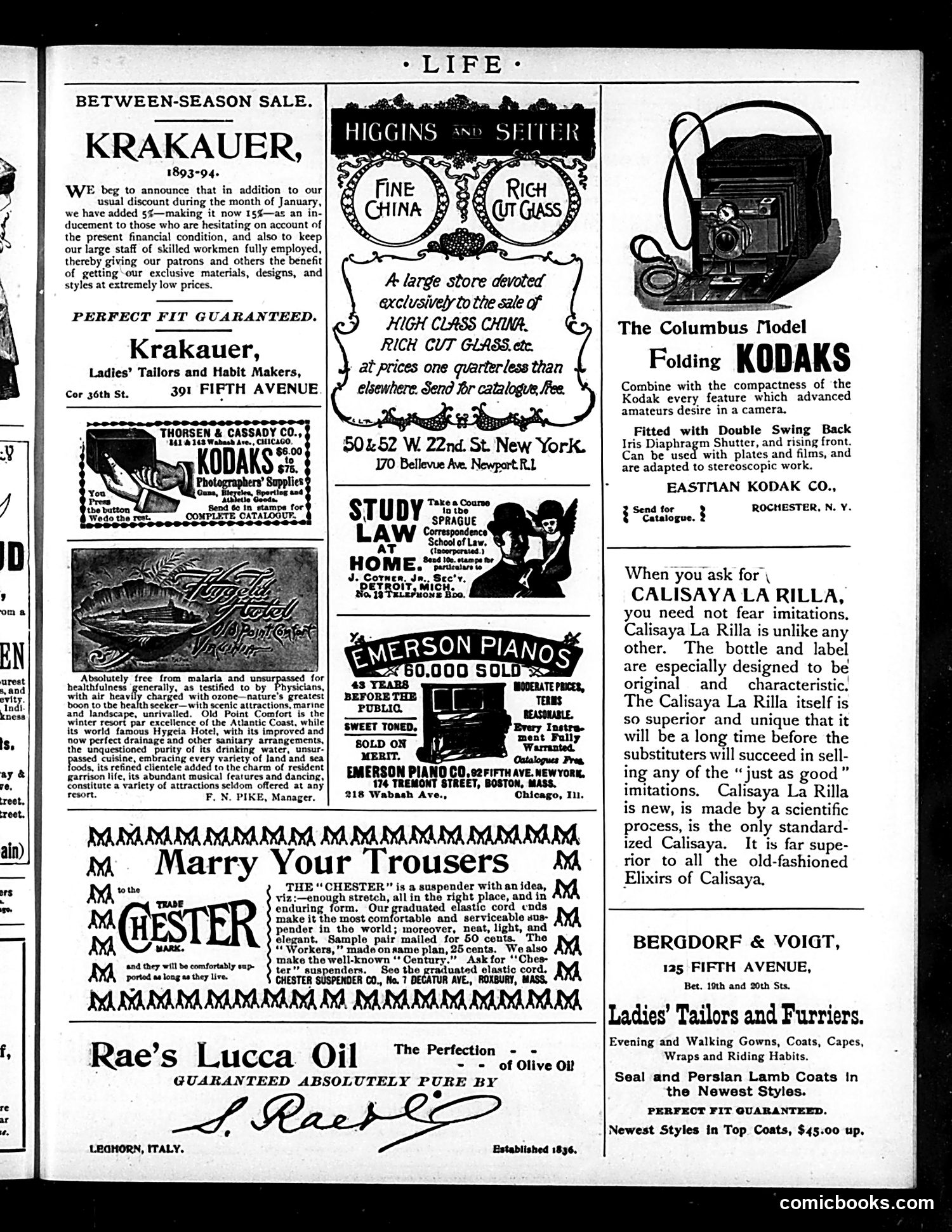 Life — December 28, 1893 — page 21 of 53