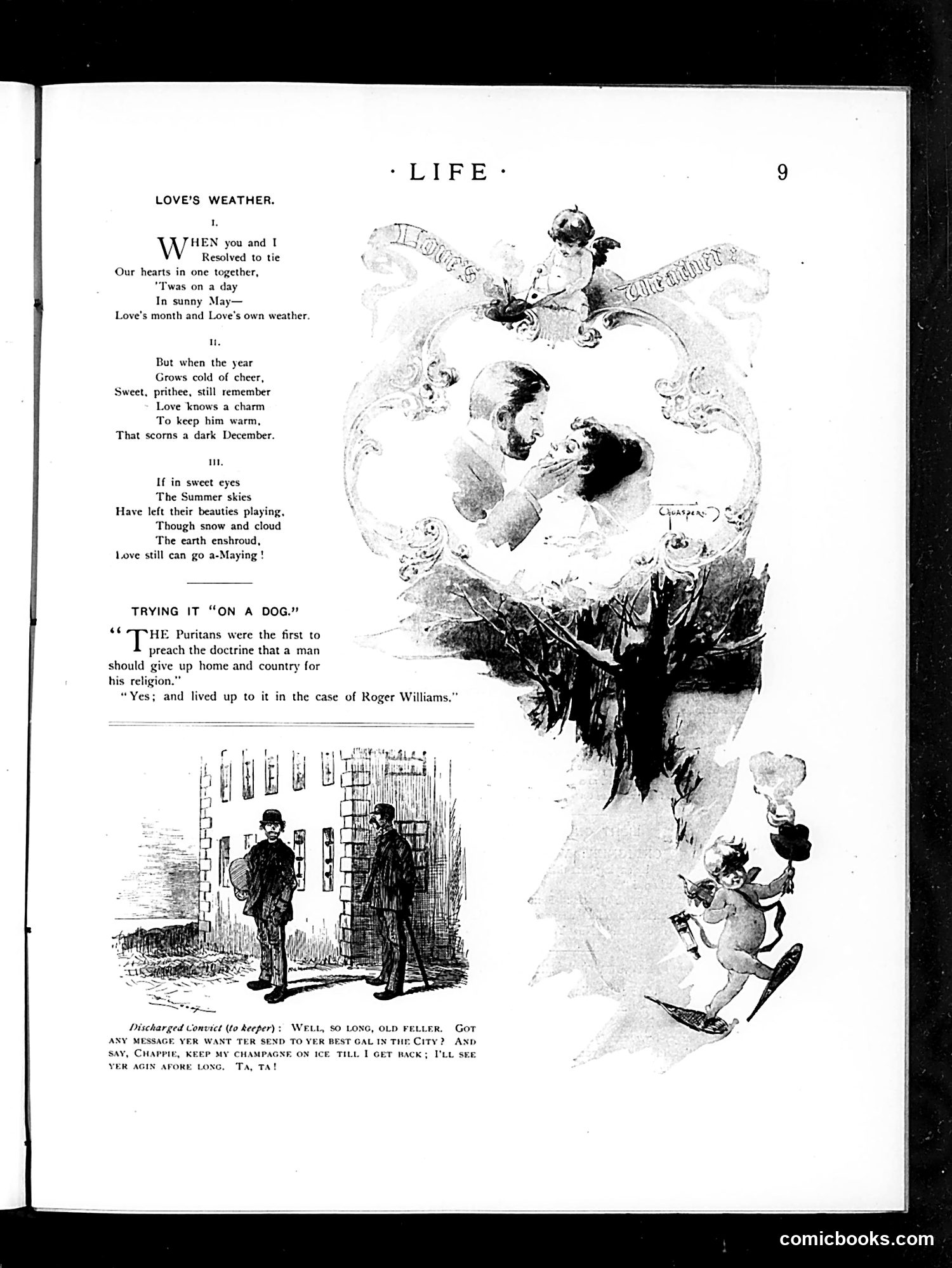 Life — December 28, 1893 — page 31 of 53