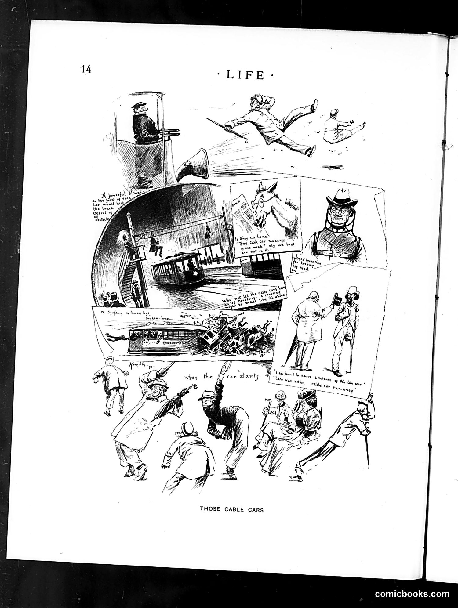 Life — December 28, 1893 — page 36 of 53