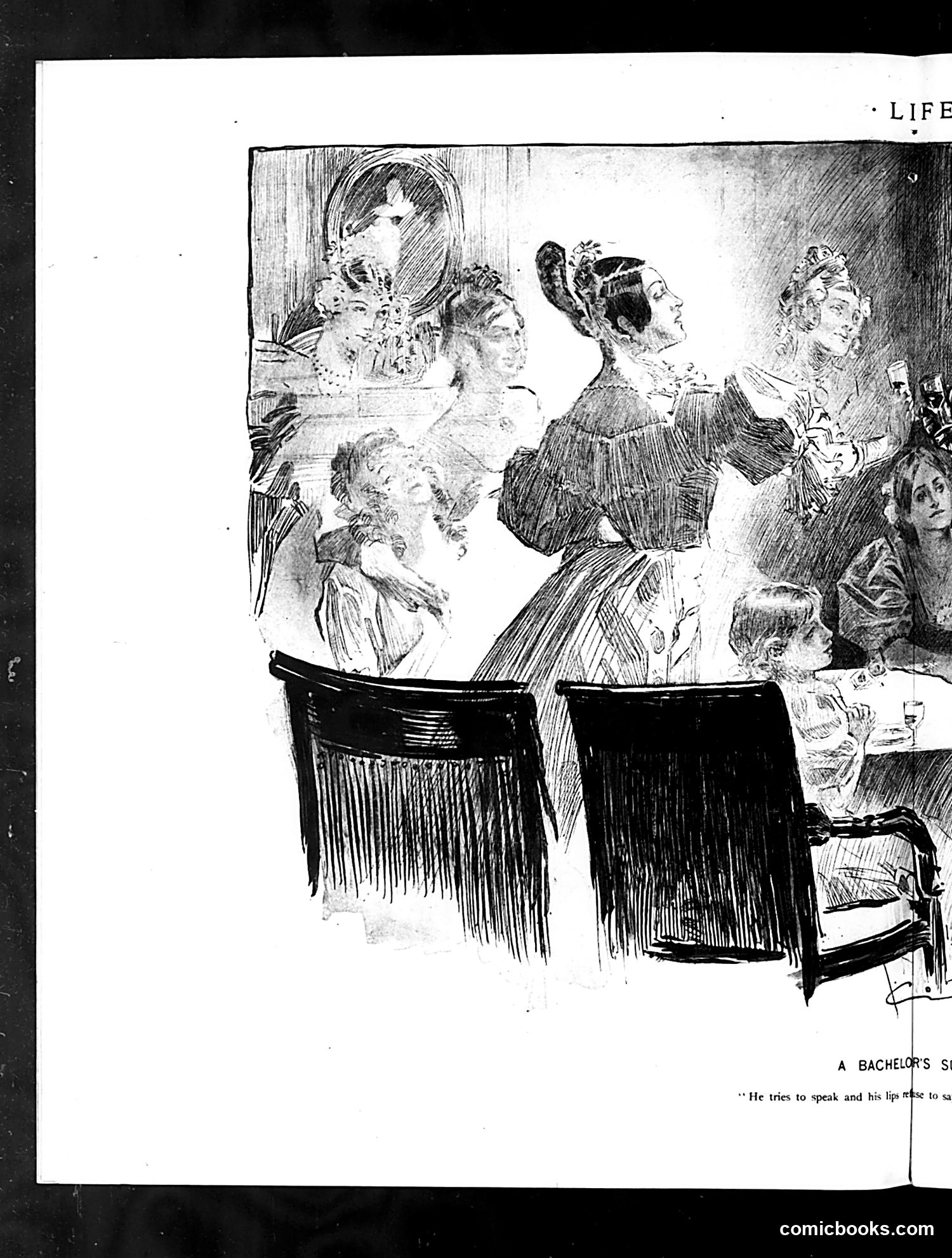 Life — December 28, 1893 — page 40 of 53