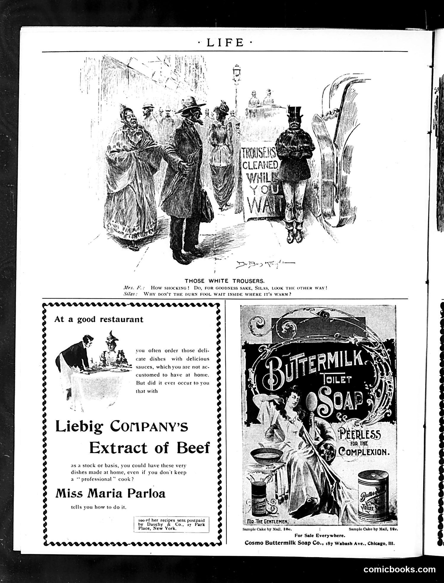 Life — December 28, 1893 — page 48 of 53