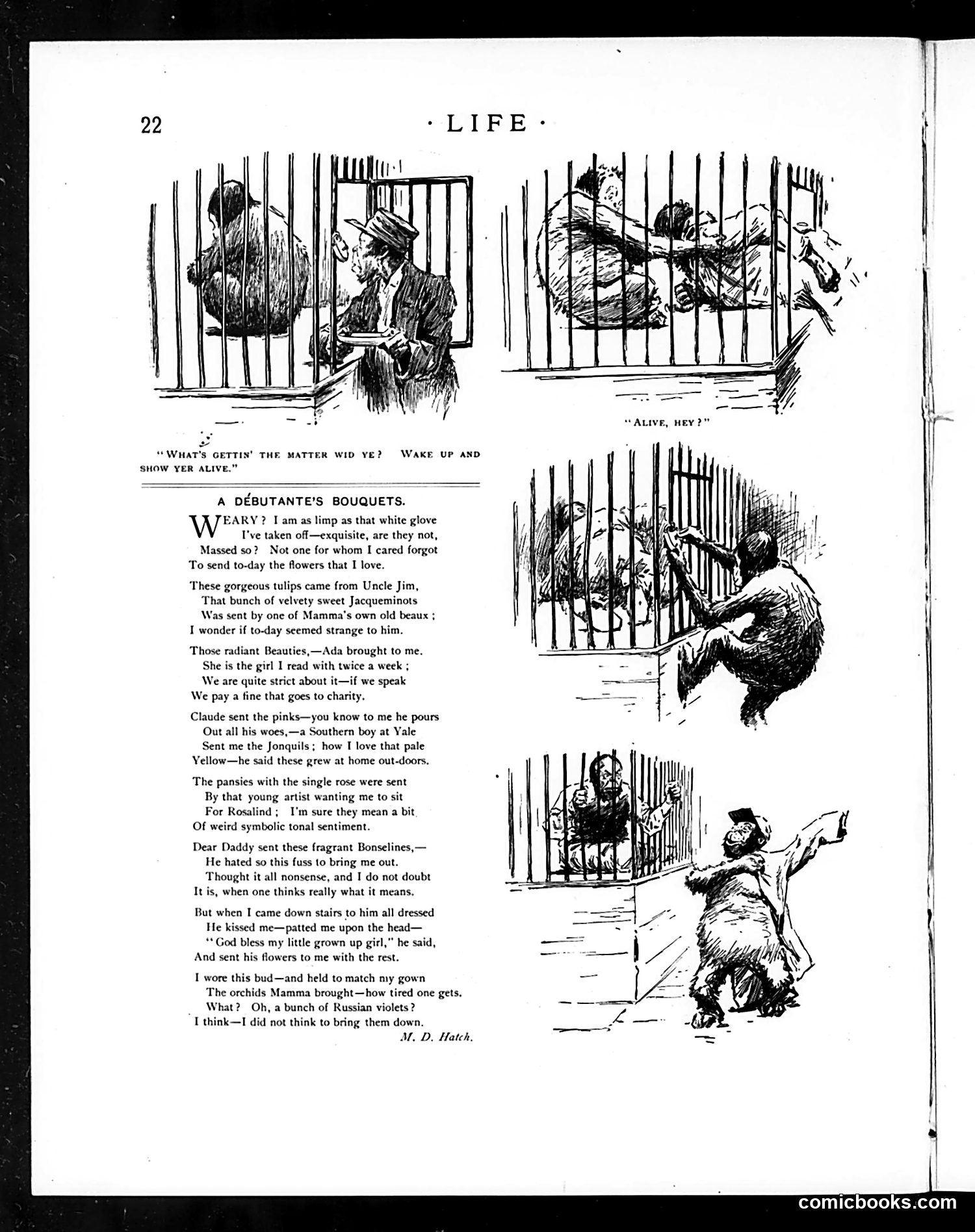 Life — January 11, 1894 — page 6 of 14