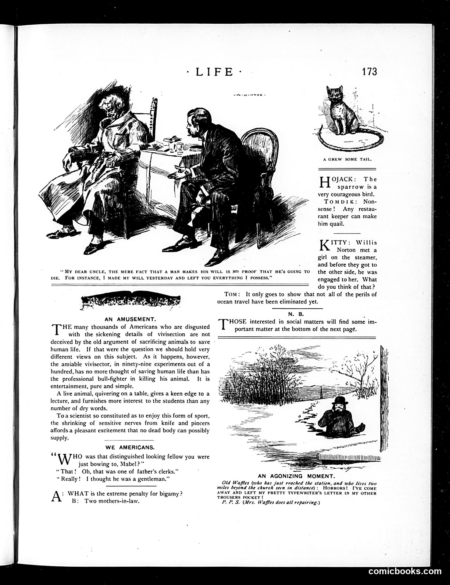 Life — March 15, 1894 — page 13 of 16