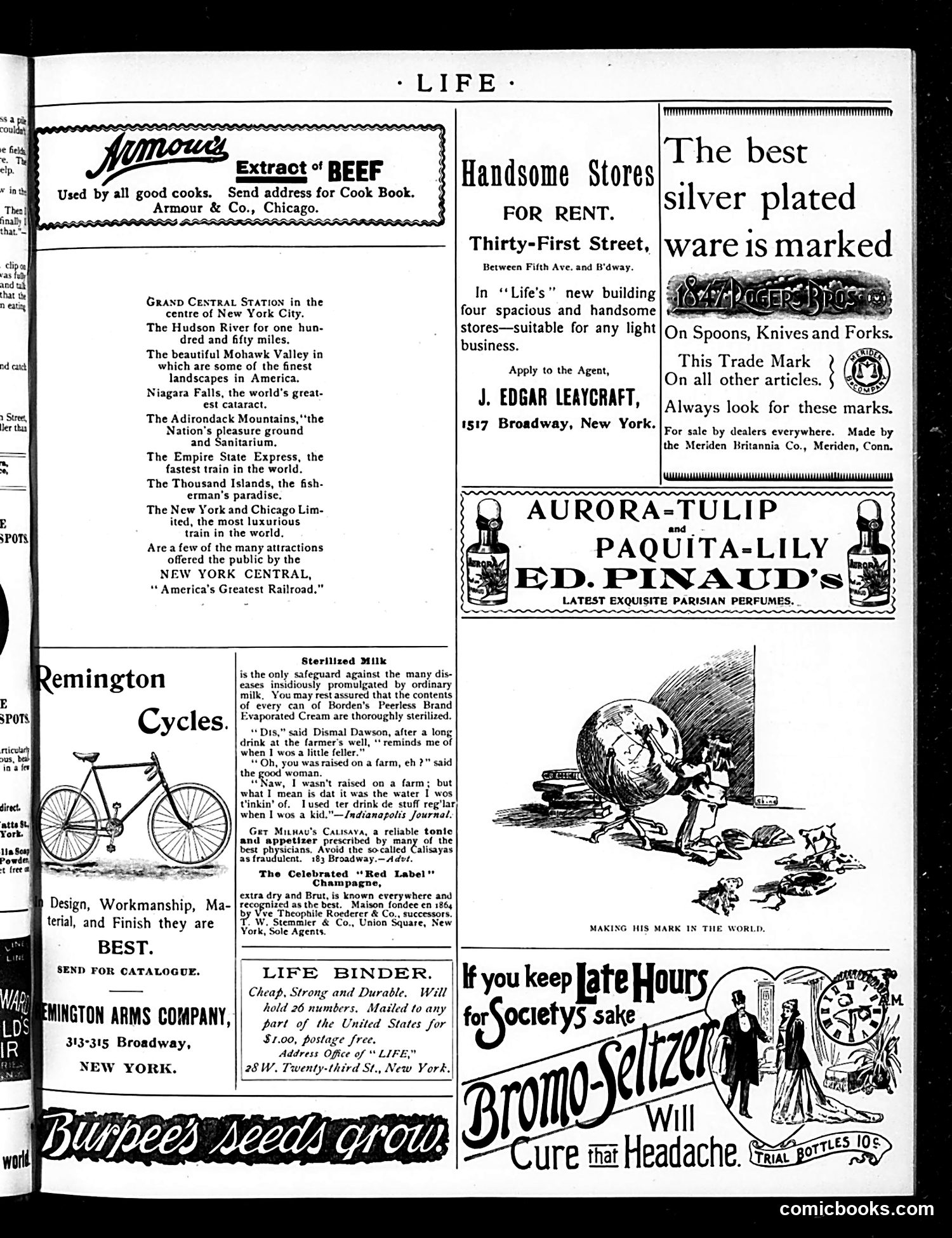 Life — March 15, 1894 — page 15 of 16