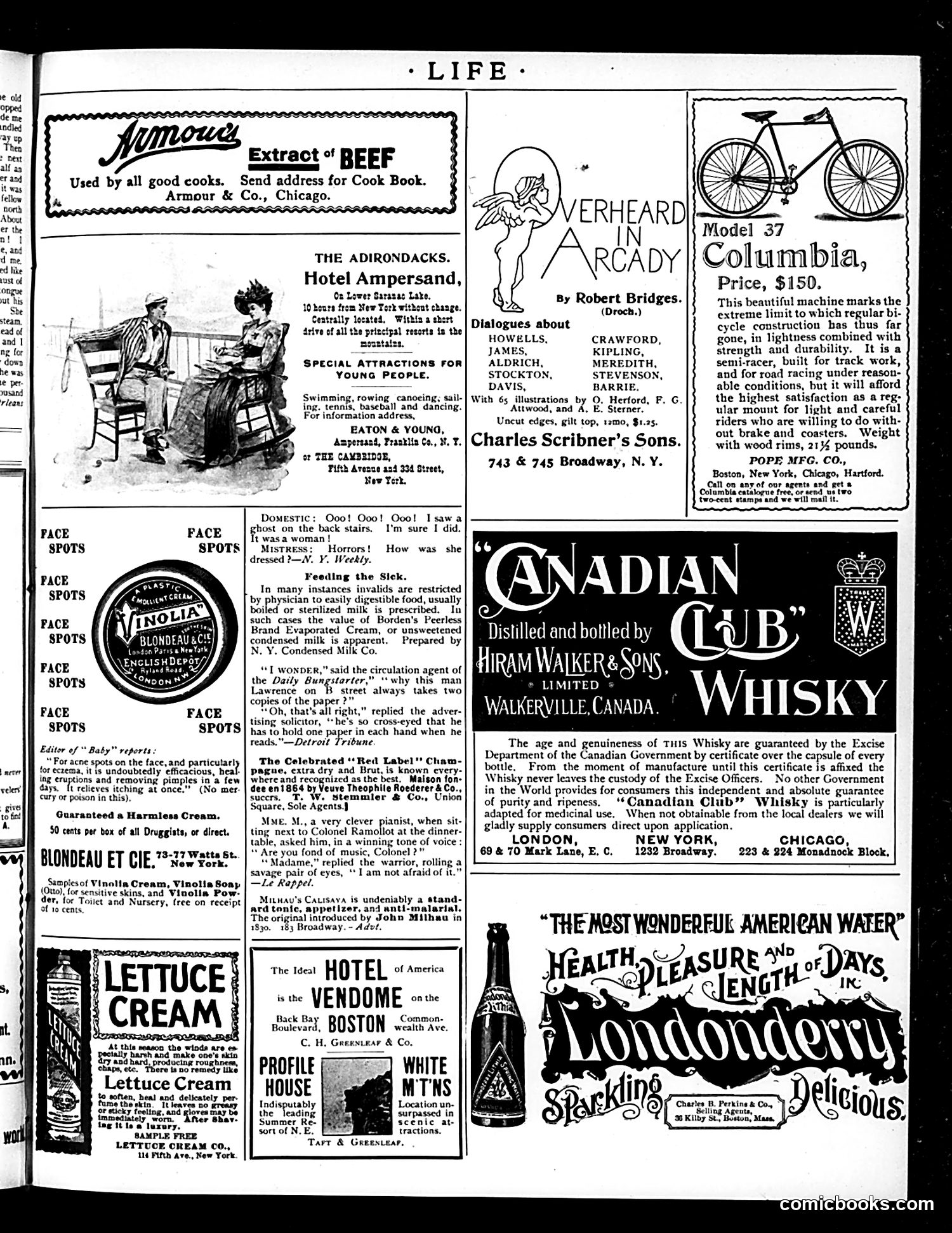 Life — April 26, 1894 — page 17 of 20