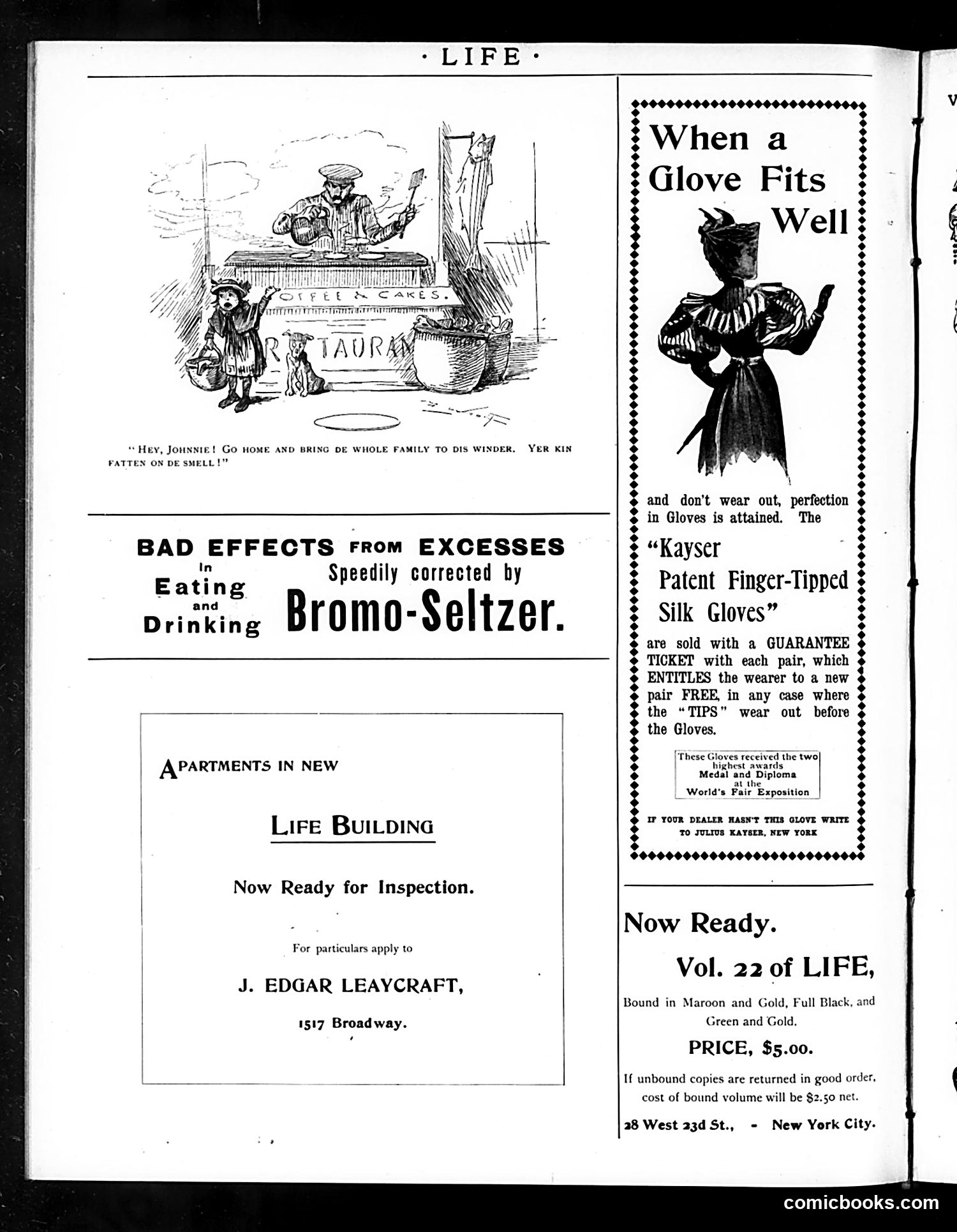 Life — April 26, 1894 — page 20 of 20