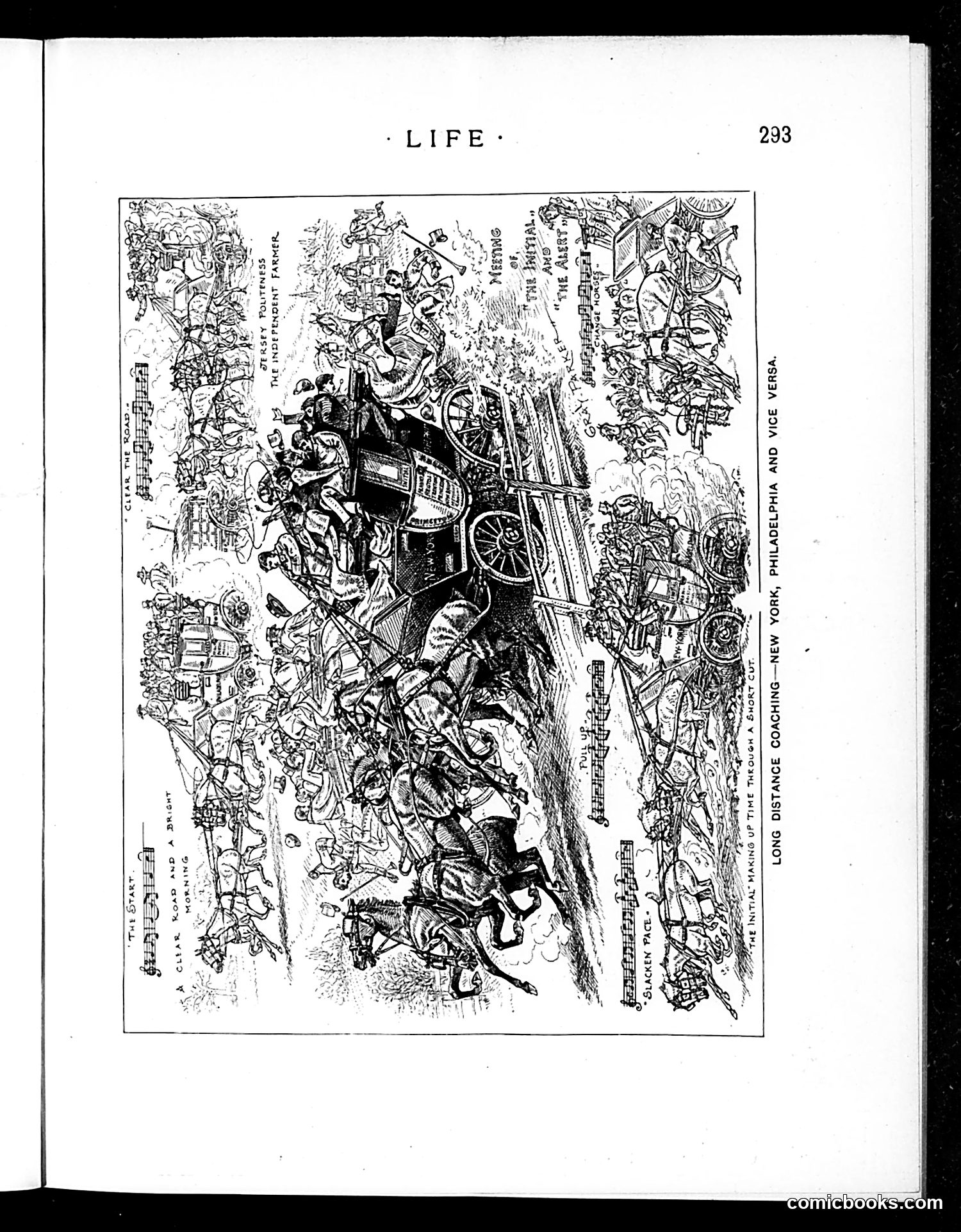 Life — May 3, 1894 — page 13 of 16
