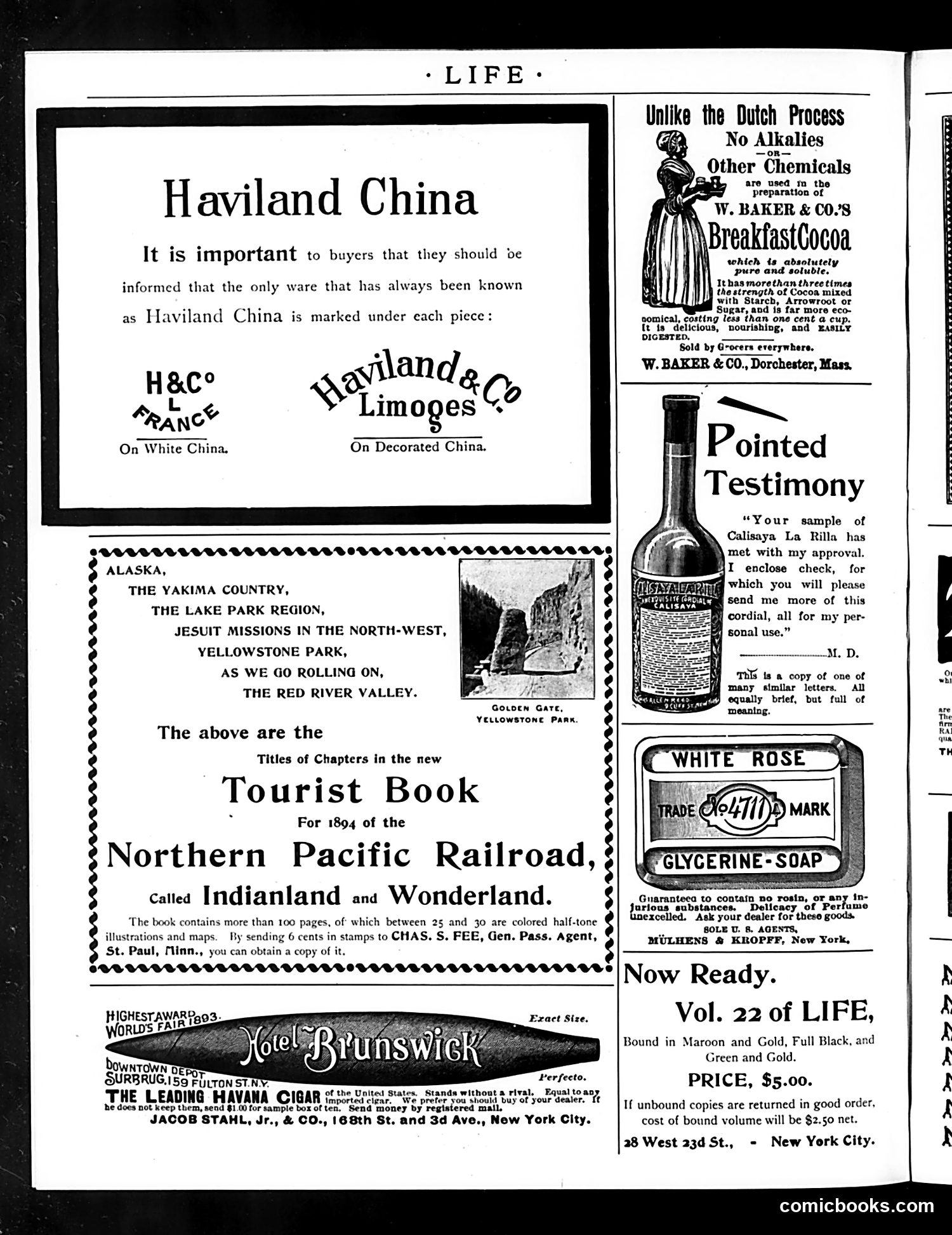 Life — May 17, 1894 — page 16 of 18