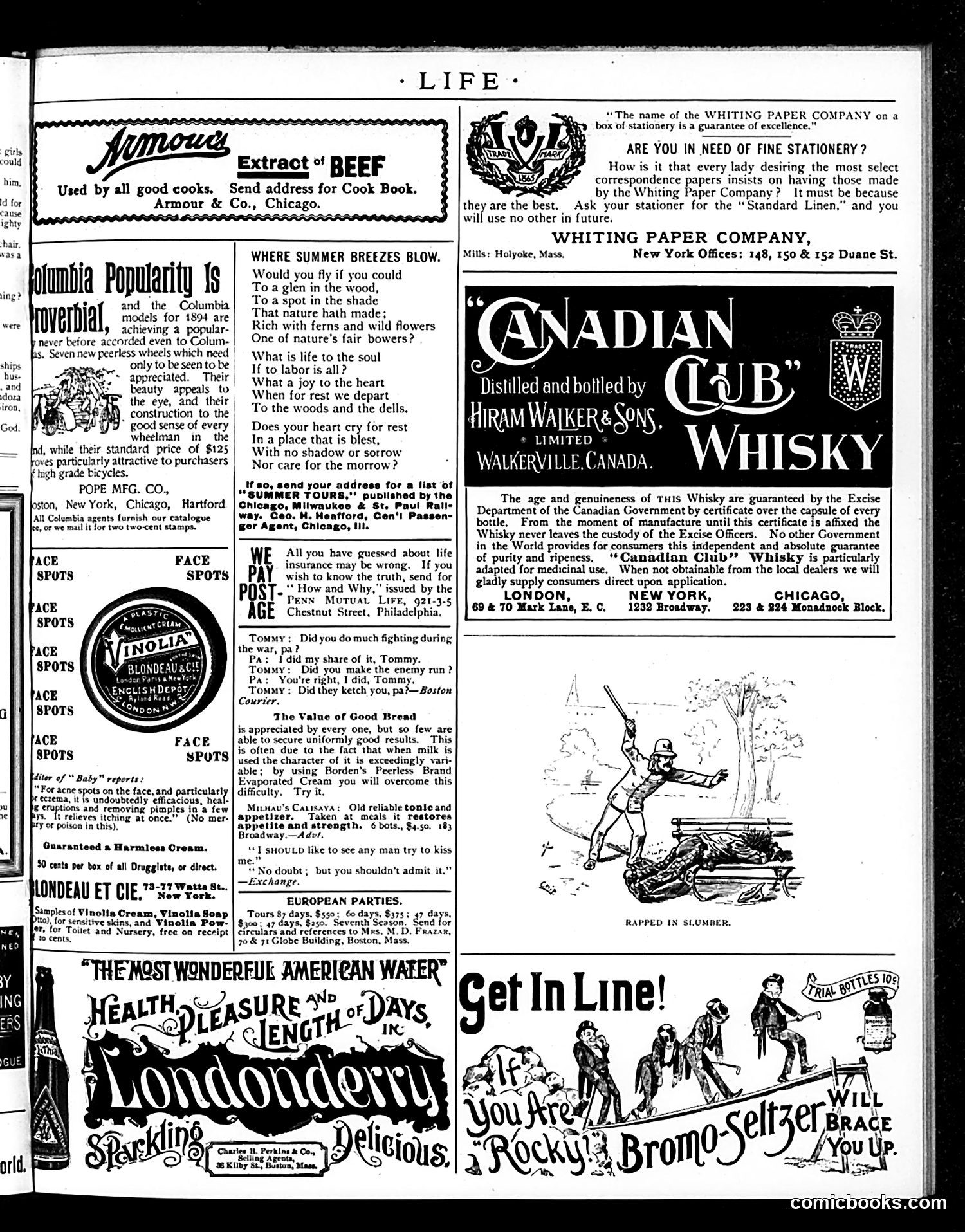 Life — May 24, 1894 — page 15 of 16