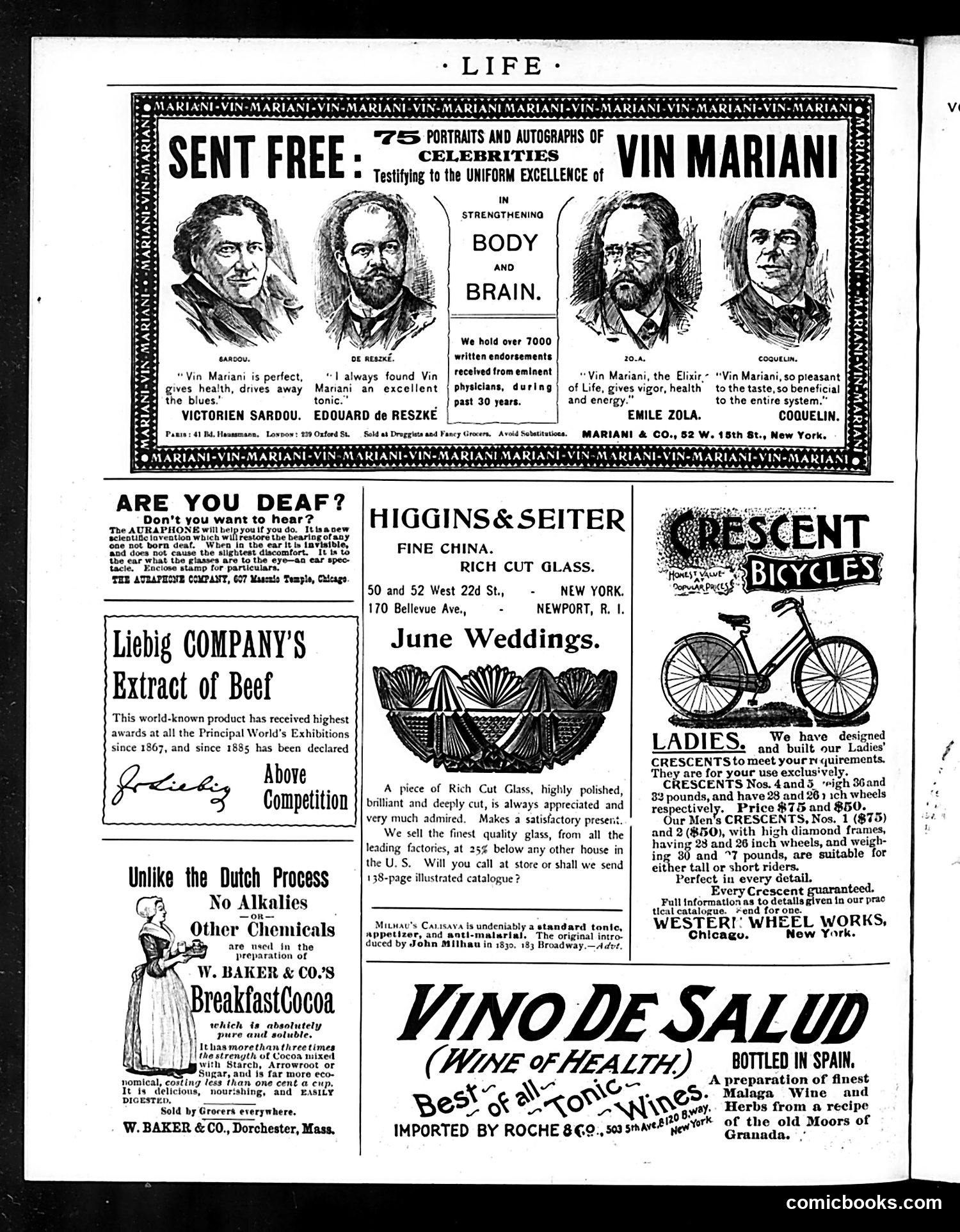 Life — May 24, 1894 — page 16 of 16