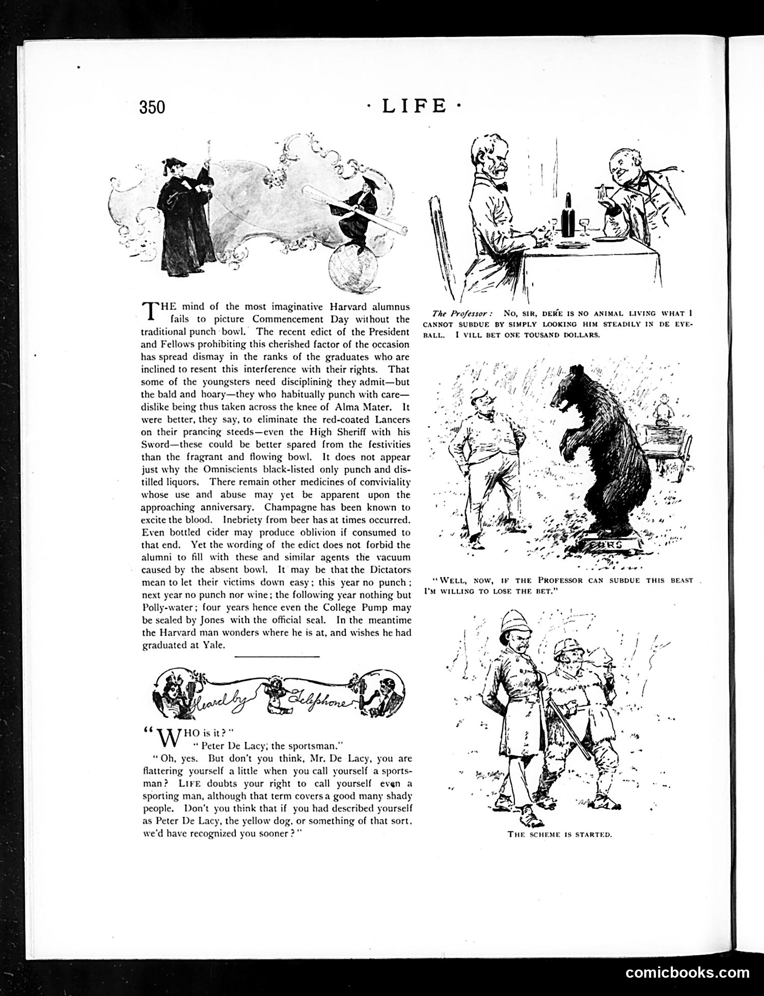 Life — May 31, 1894 — page 6 of 20