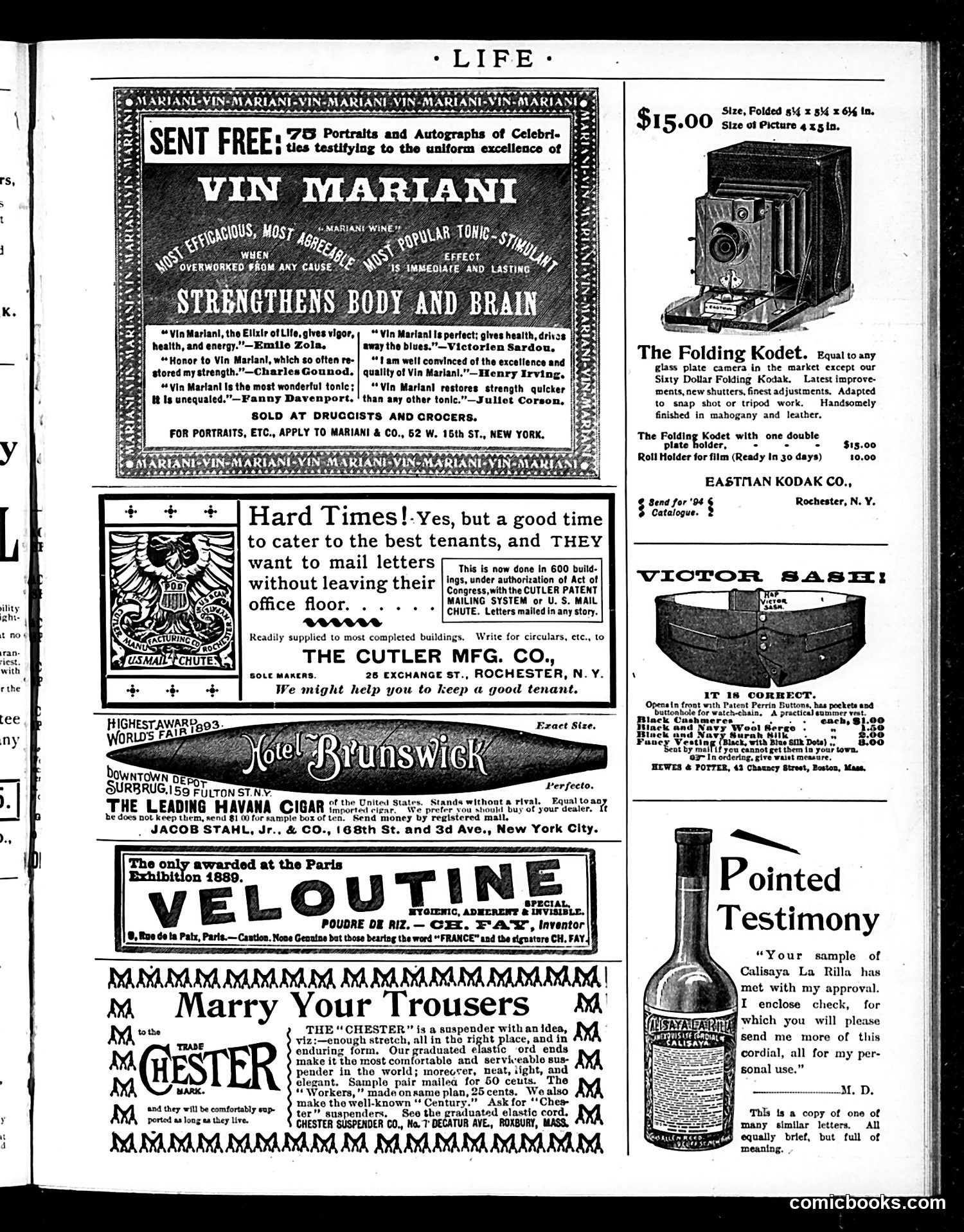 Life — May 31, 1894 — page 19 of 20