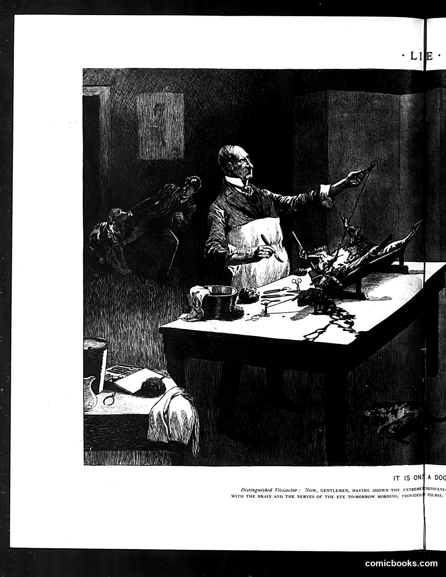Life — June 7, 1894 — page 8 of 16