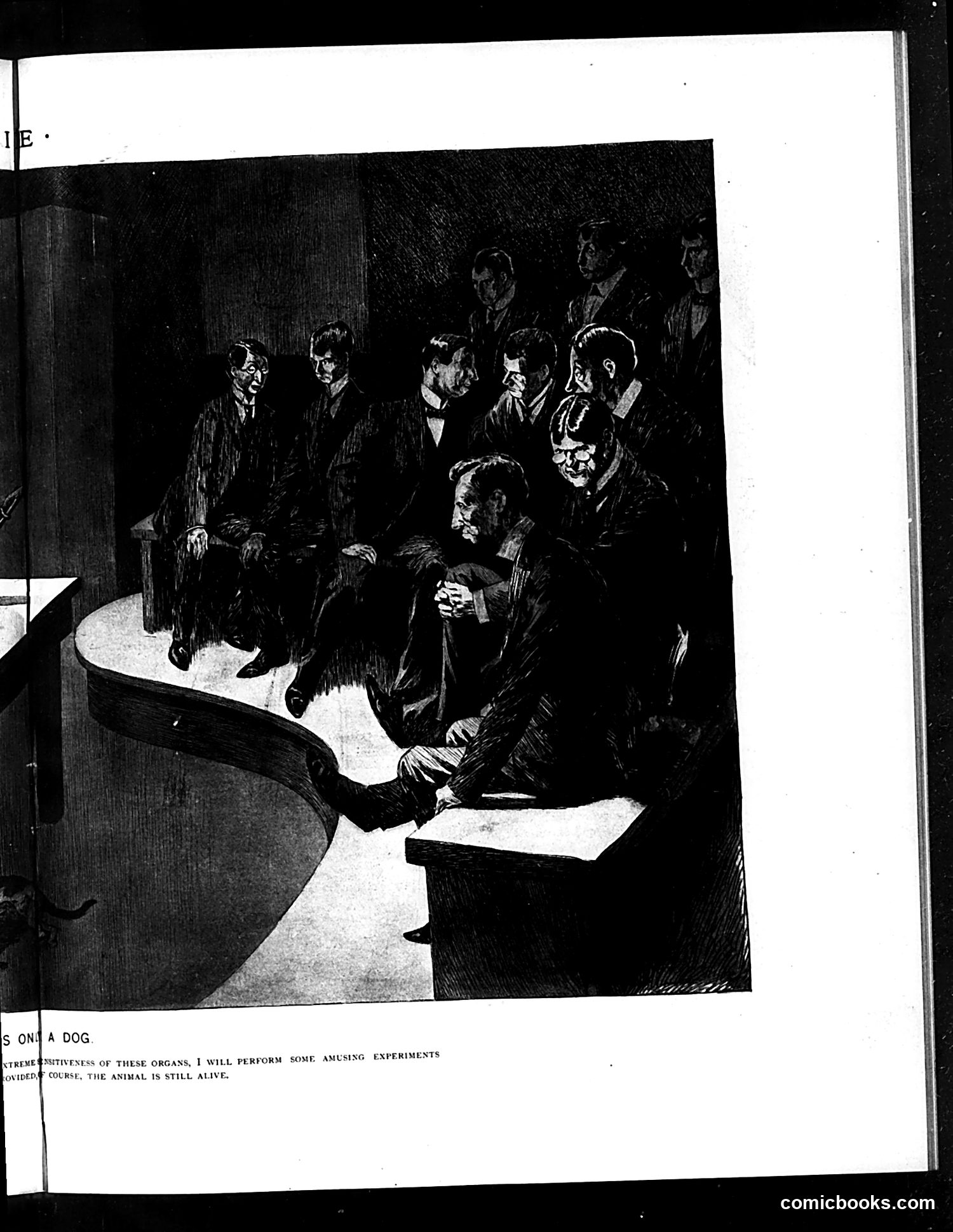 Life — June 7, 1894 — page 9 of 16