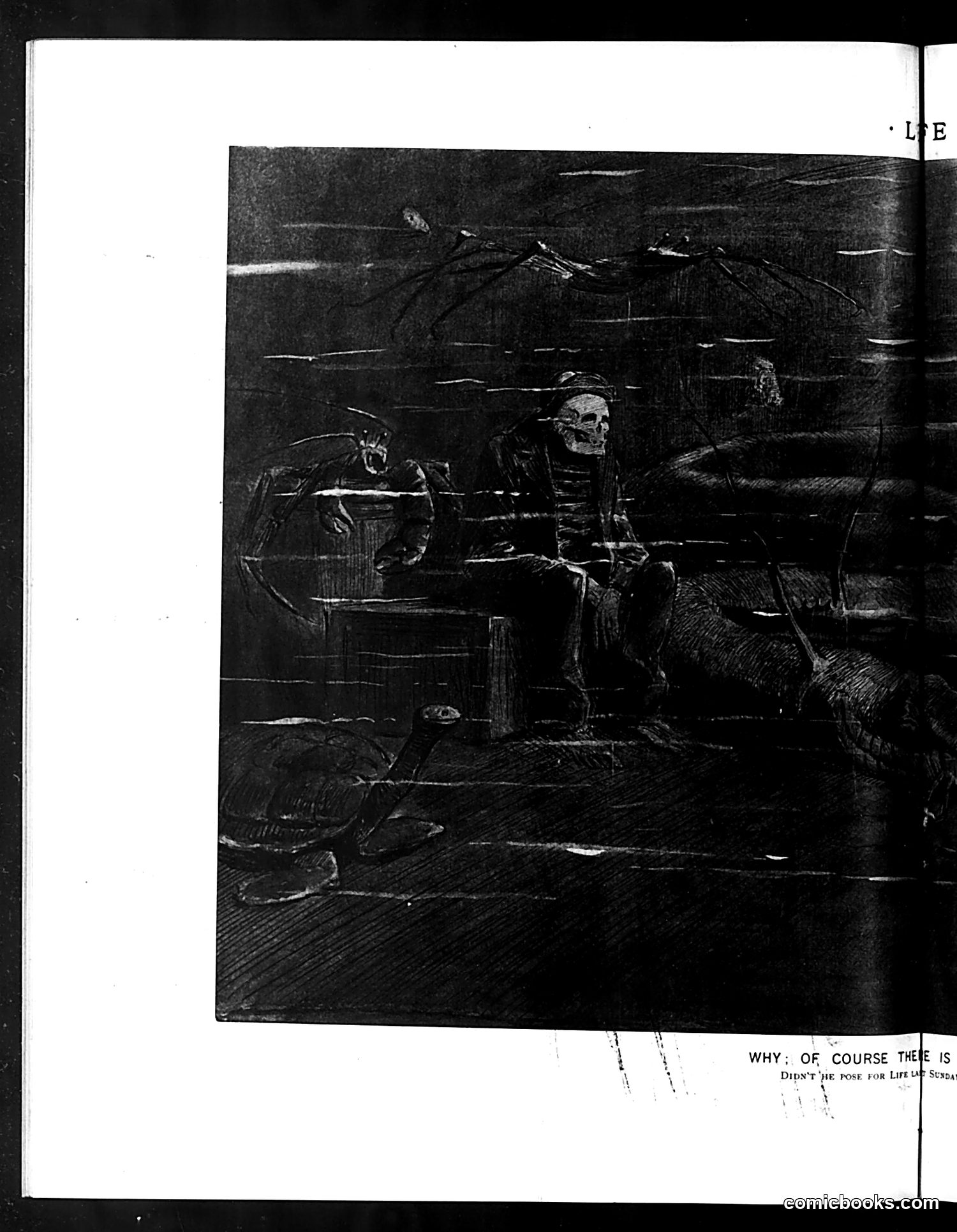 Life — June 21, 1894 — page 8 of 14