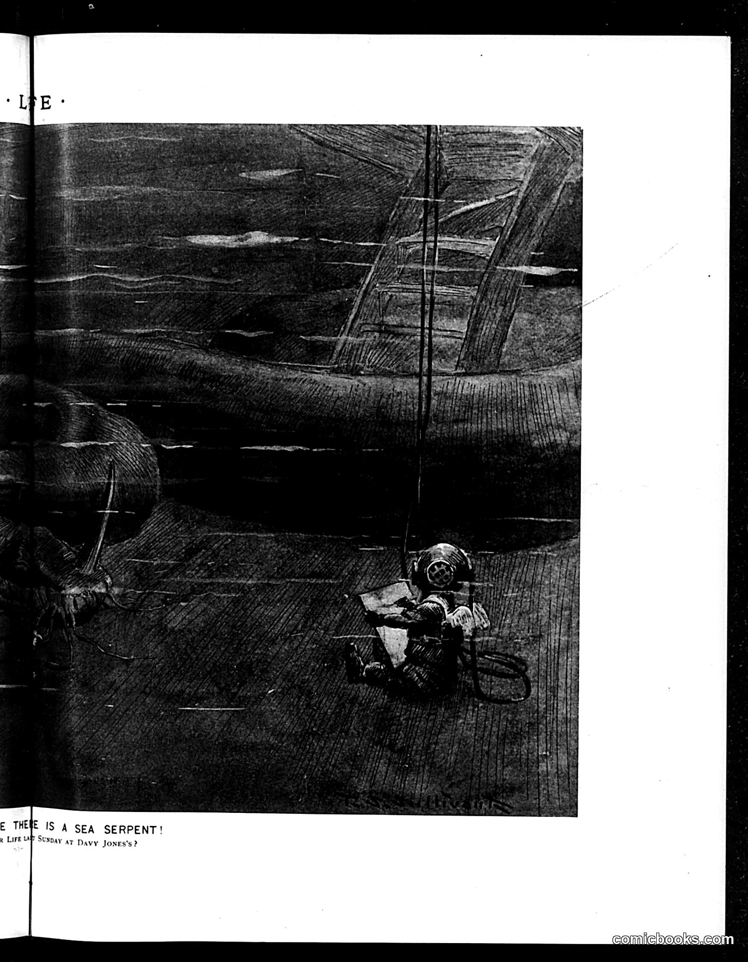 Life — June 21, 1894 — page 9 of 14