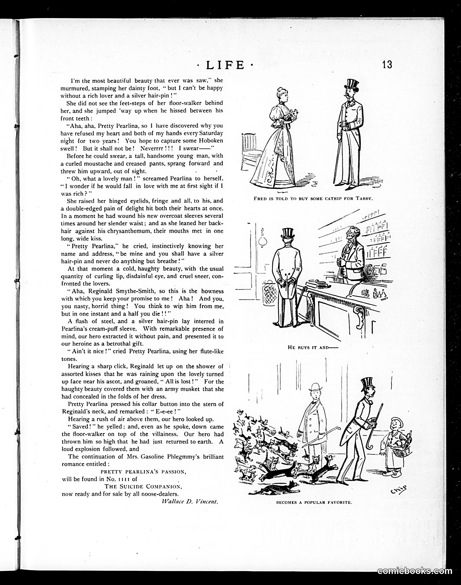Life — July 5, 1894 — page 13 of 16