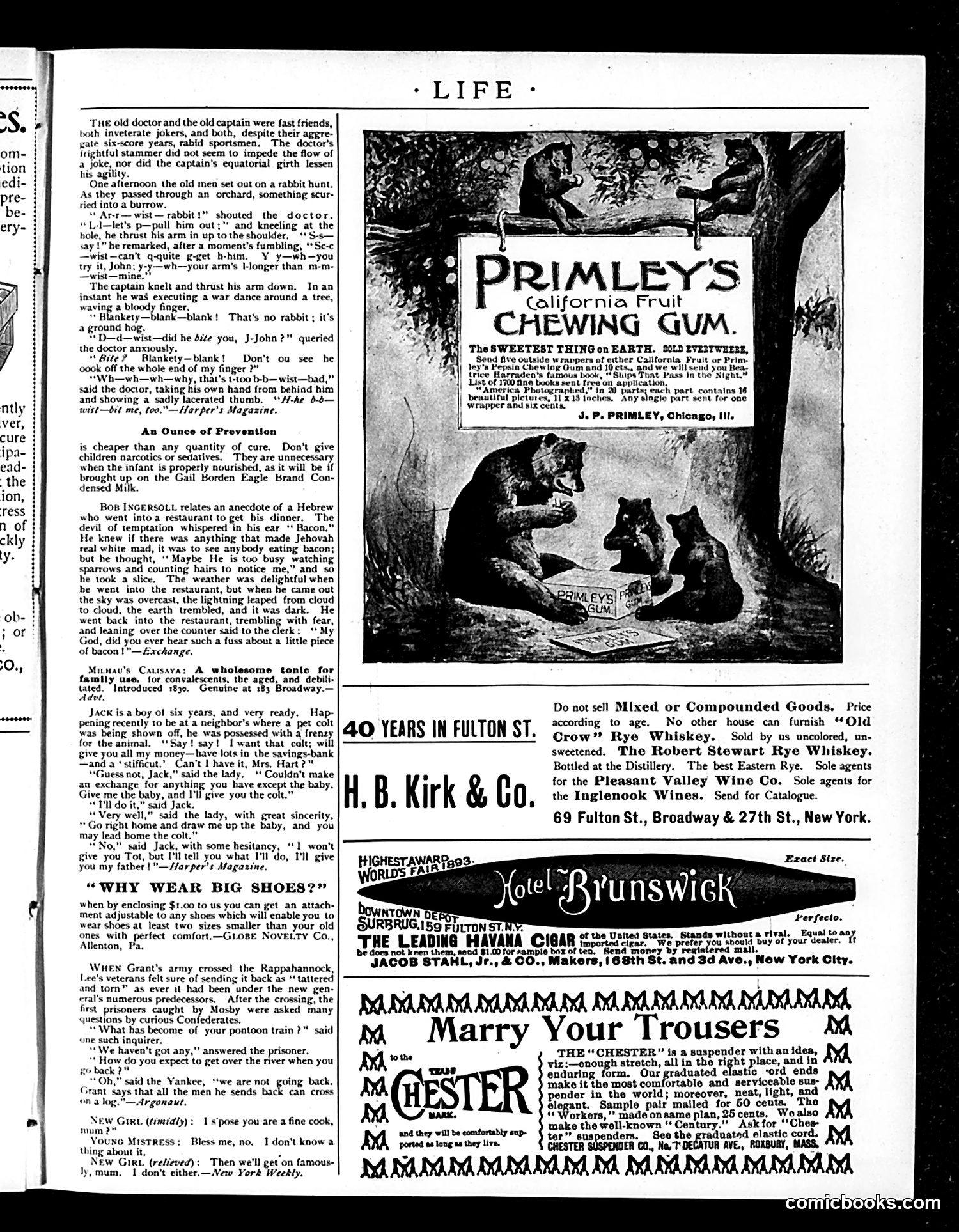 Life — July 12, 1894 — page 19 of 20