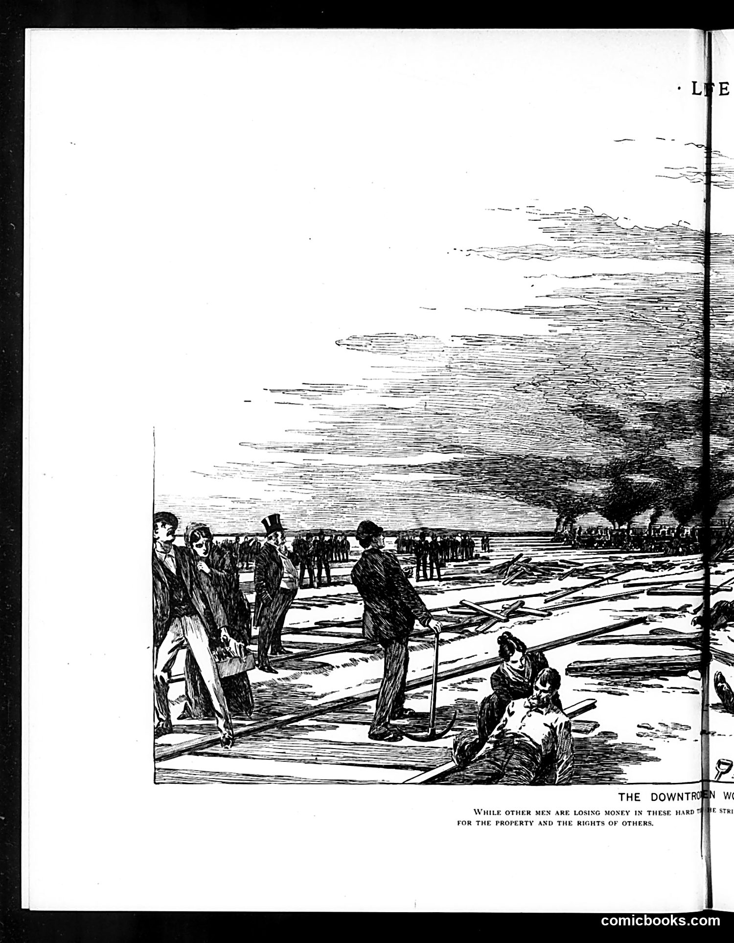 Life — July 19, 1894 — page 8 of 16