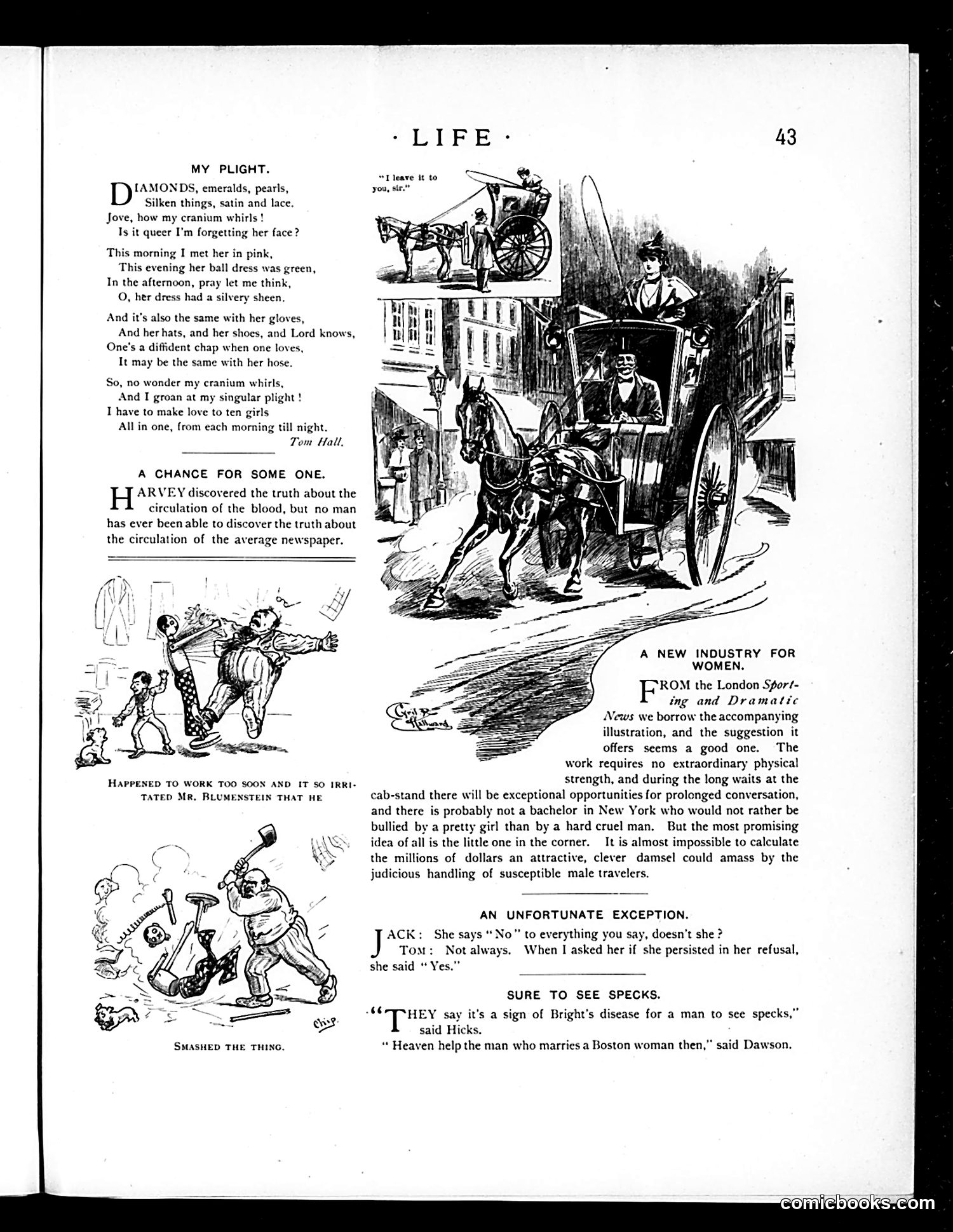 Life — July 19, 1894 — page 11 of 16
