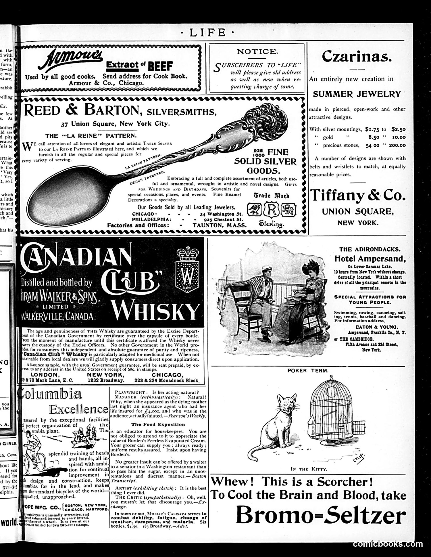 Life — July 19, 1894 — page 15 of 16