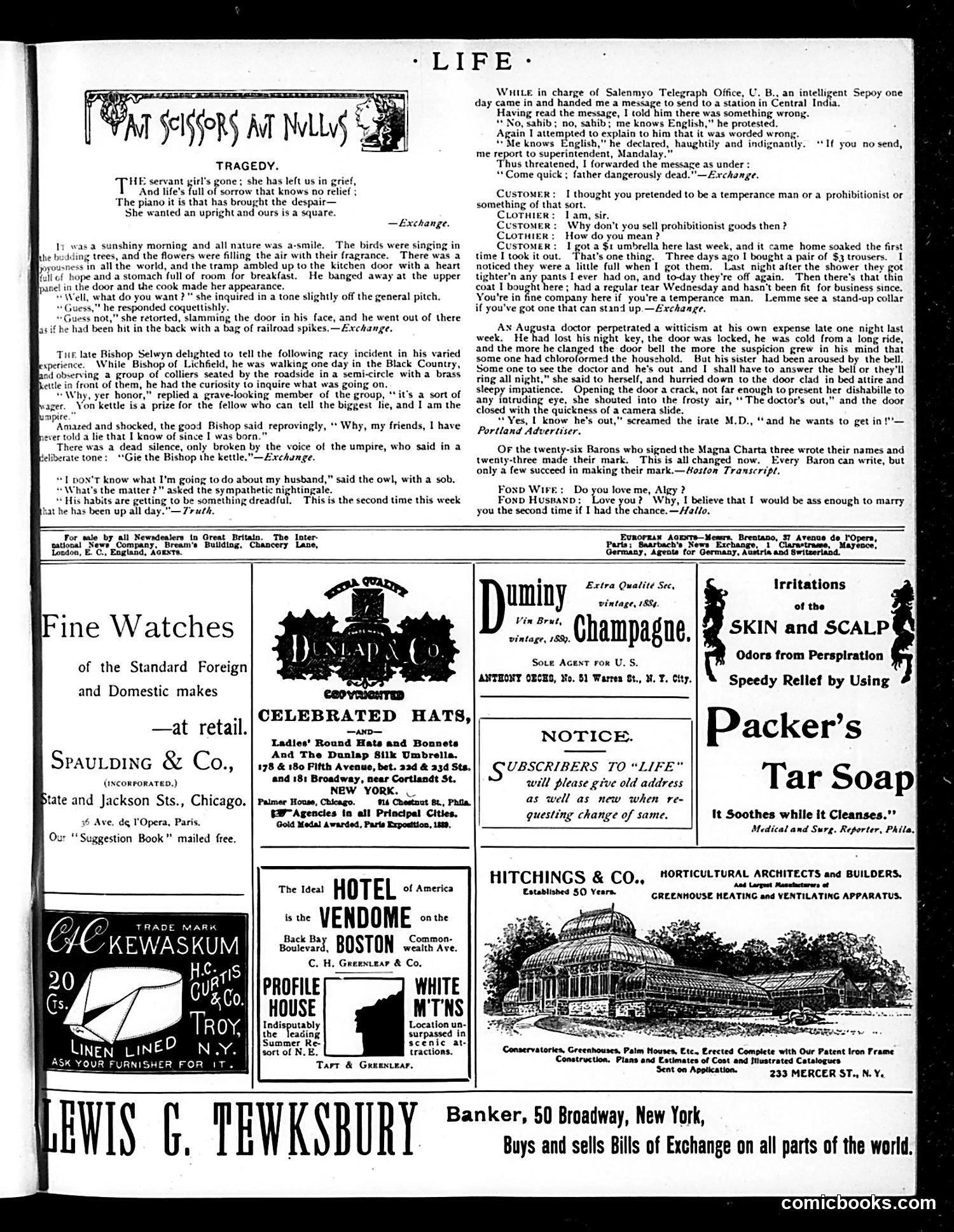 Life — July 26, 1894 — page 13 of 14
