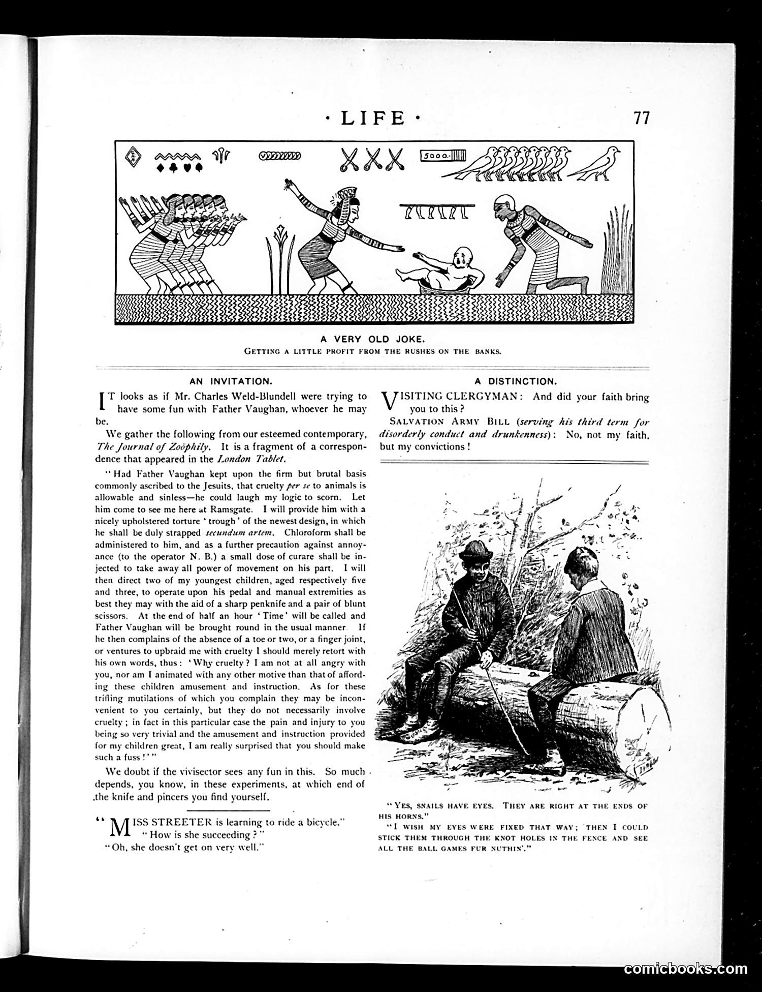 Life — August 2, 1894 — page 13 of 16