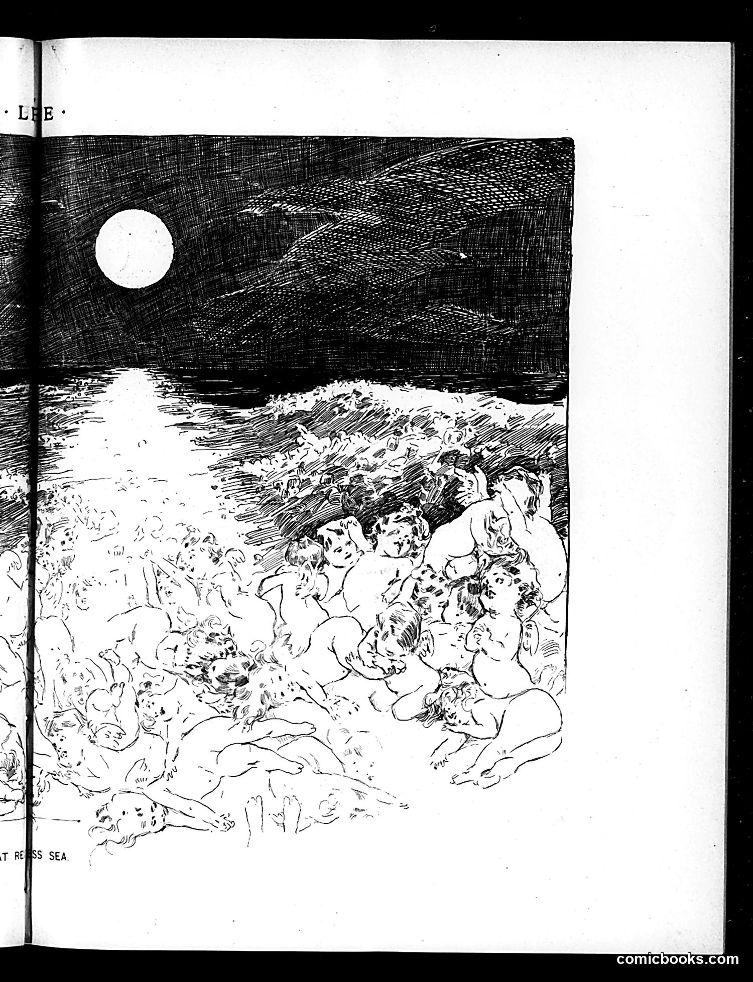 Life — August 16, 1894 — page 9 of 16