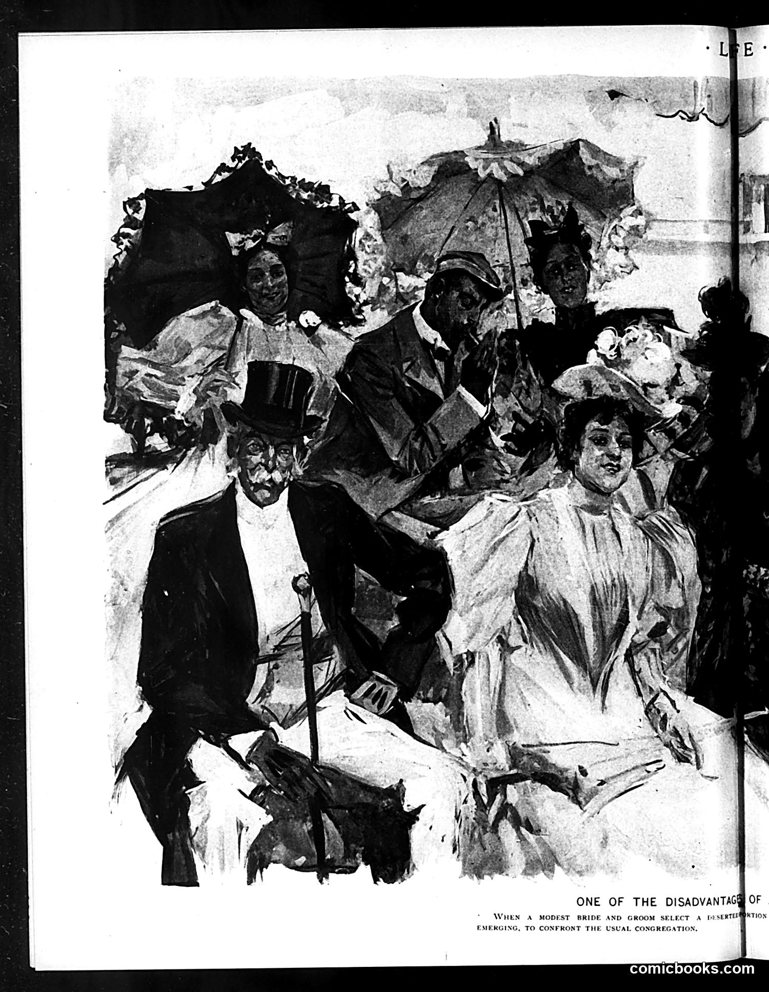 Life — August 23, 1894 — page 8 of 14