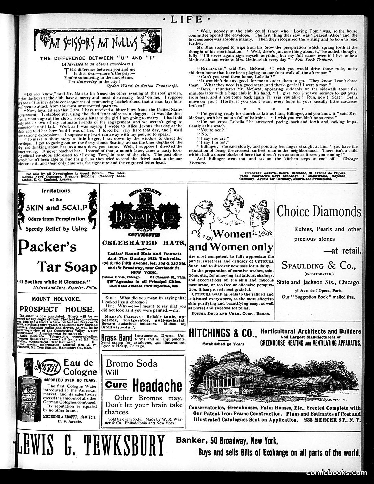 Life — August 23, 1894 — page 13 of 14
