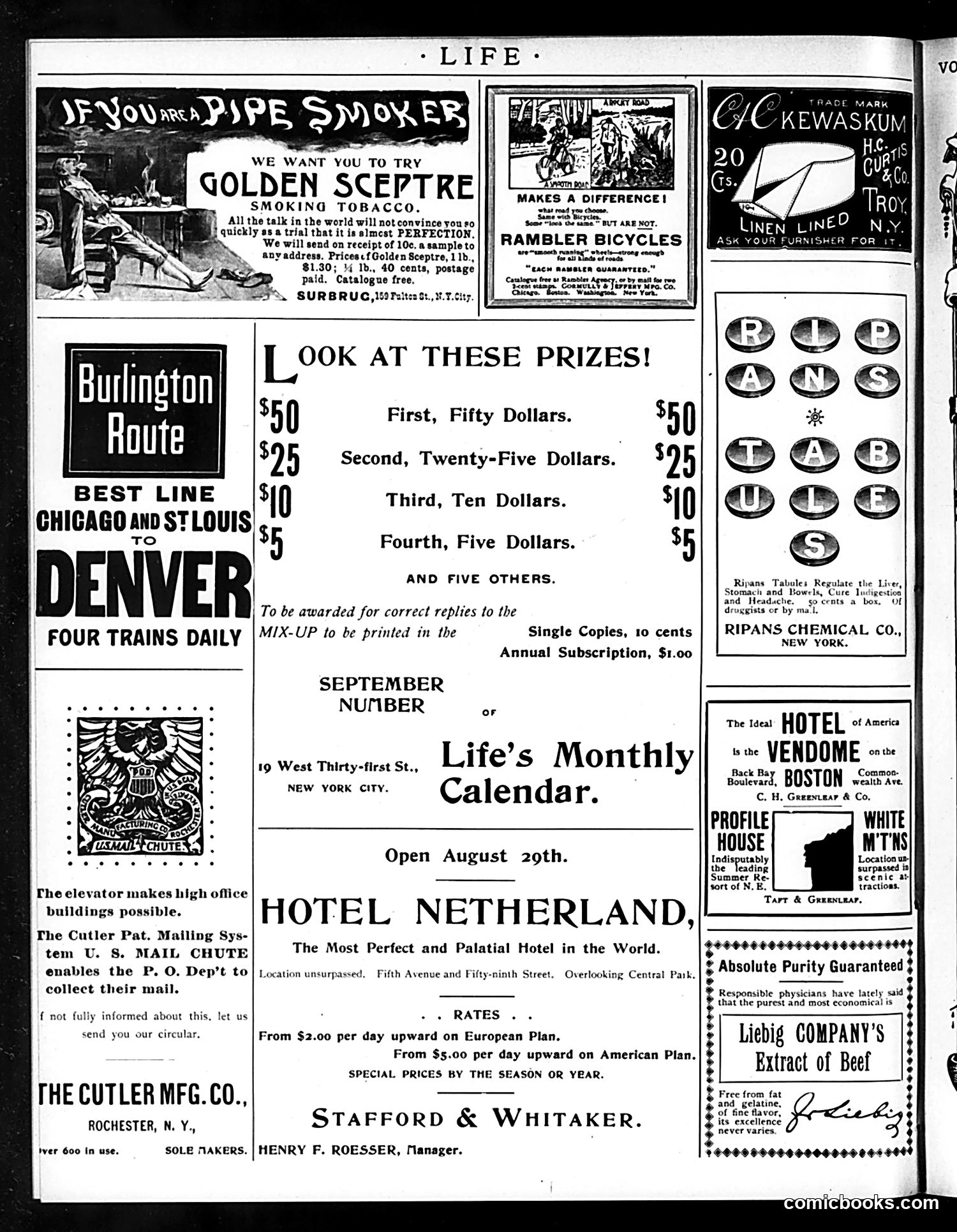 Life — August 23, 1894 — page 14 of 14