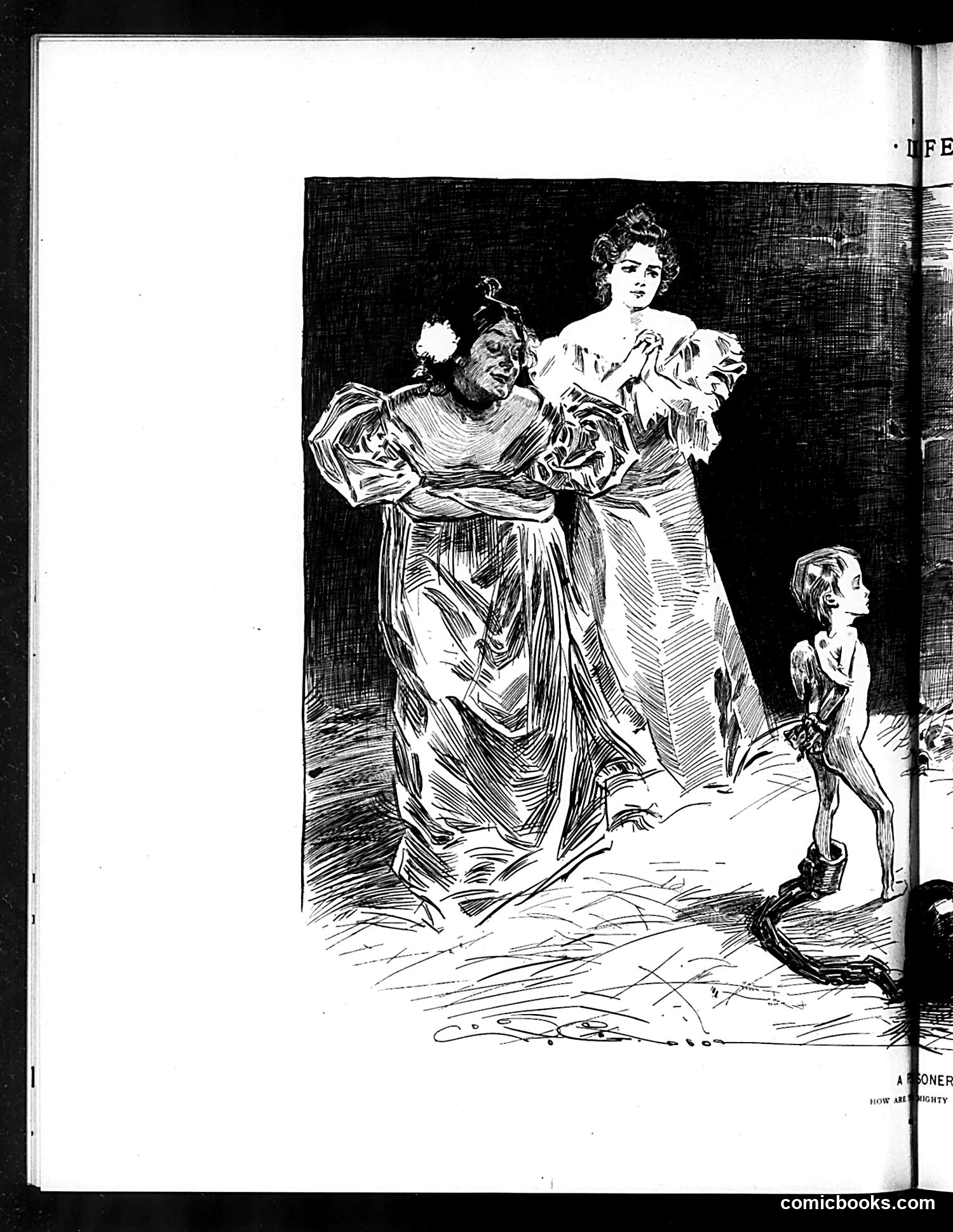 Life — August 30, 1894 — page 8 of 16