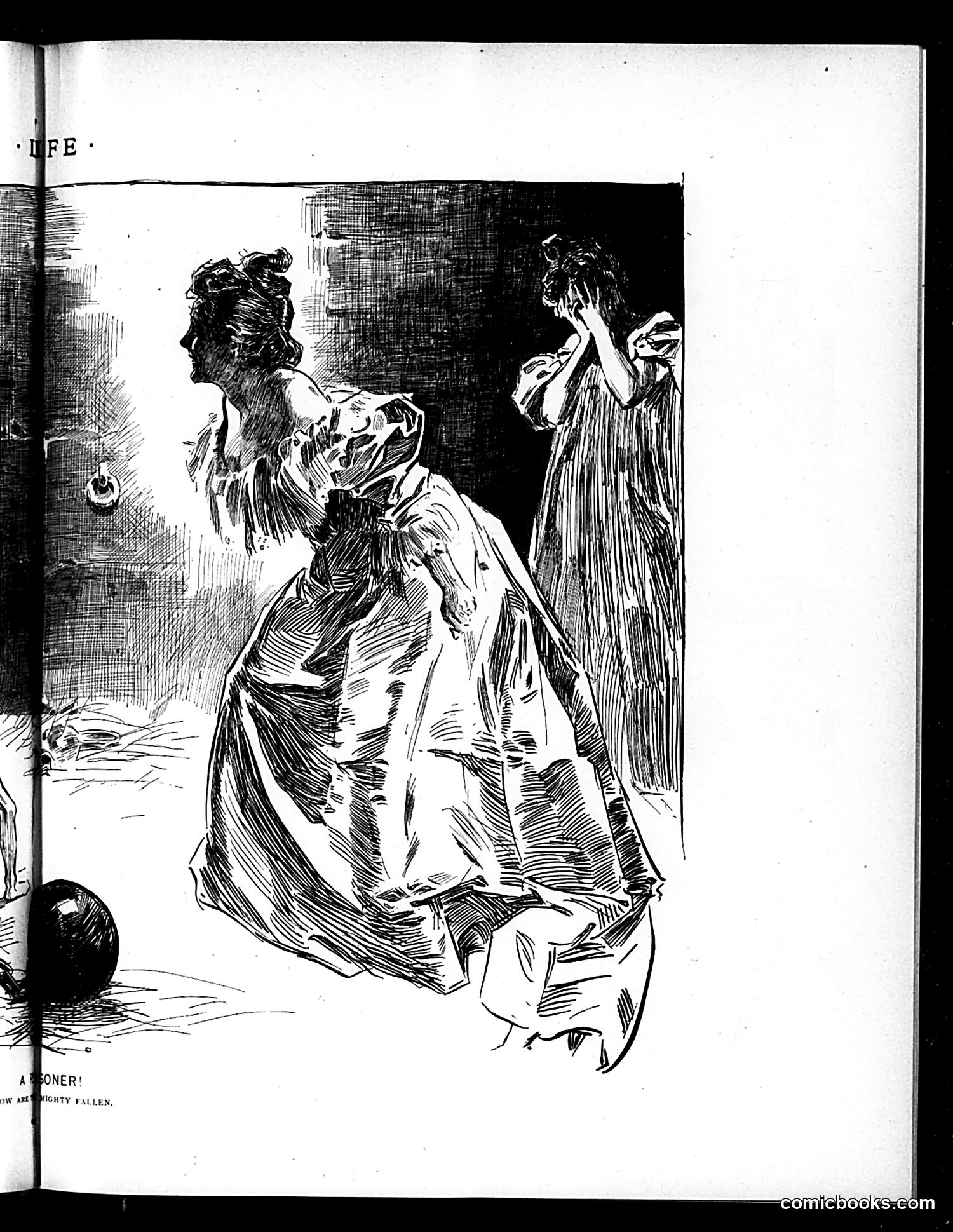 Life — August 30, 1894 — page 9 of 16