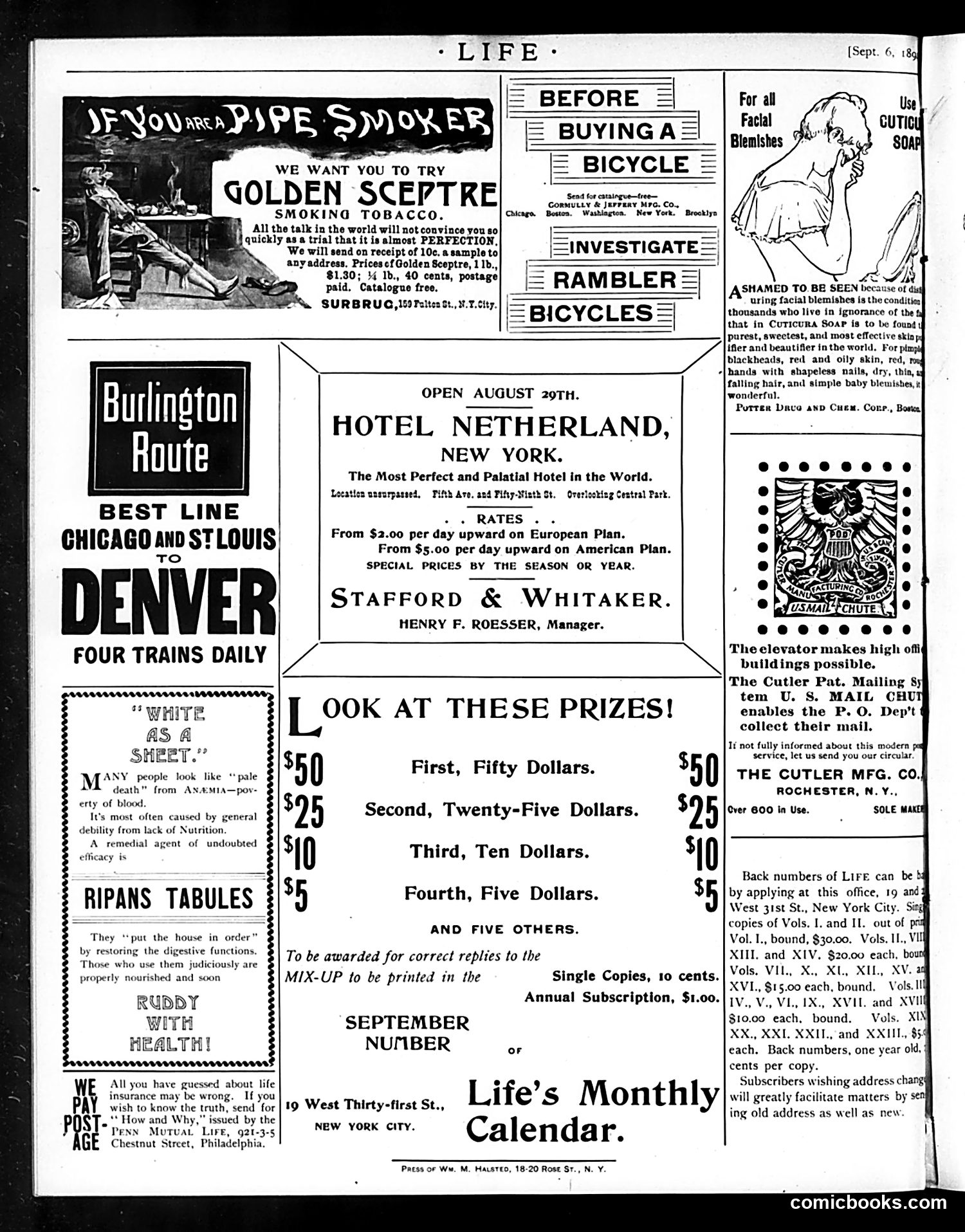 Life — September 6, 1894 — page 16 of 16