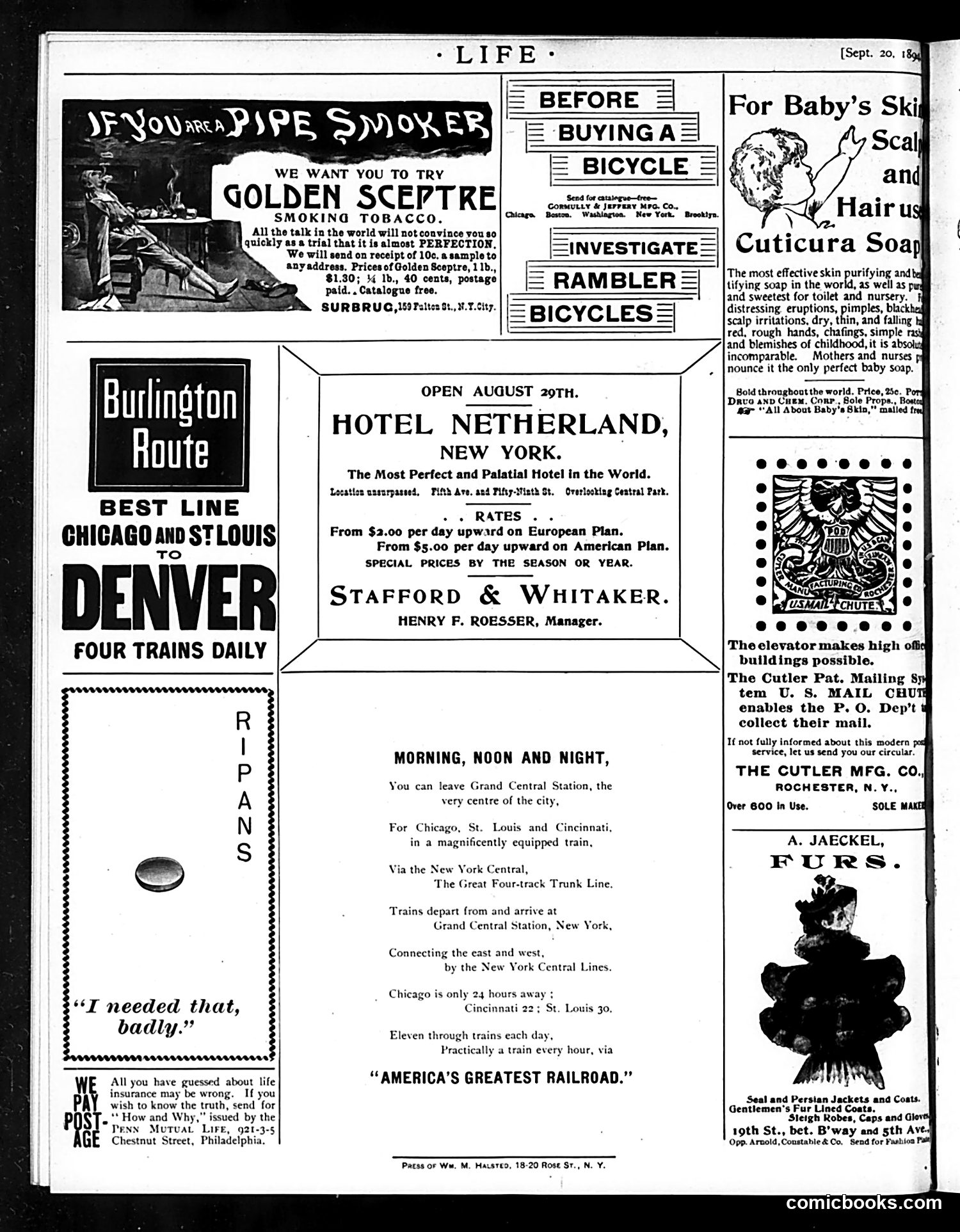 Life — September 20, 1894 — page 16 of 16